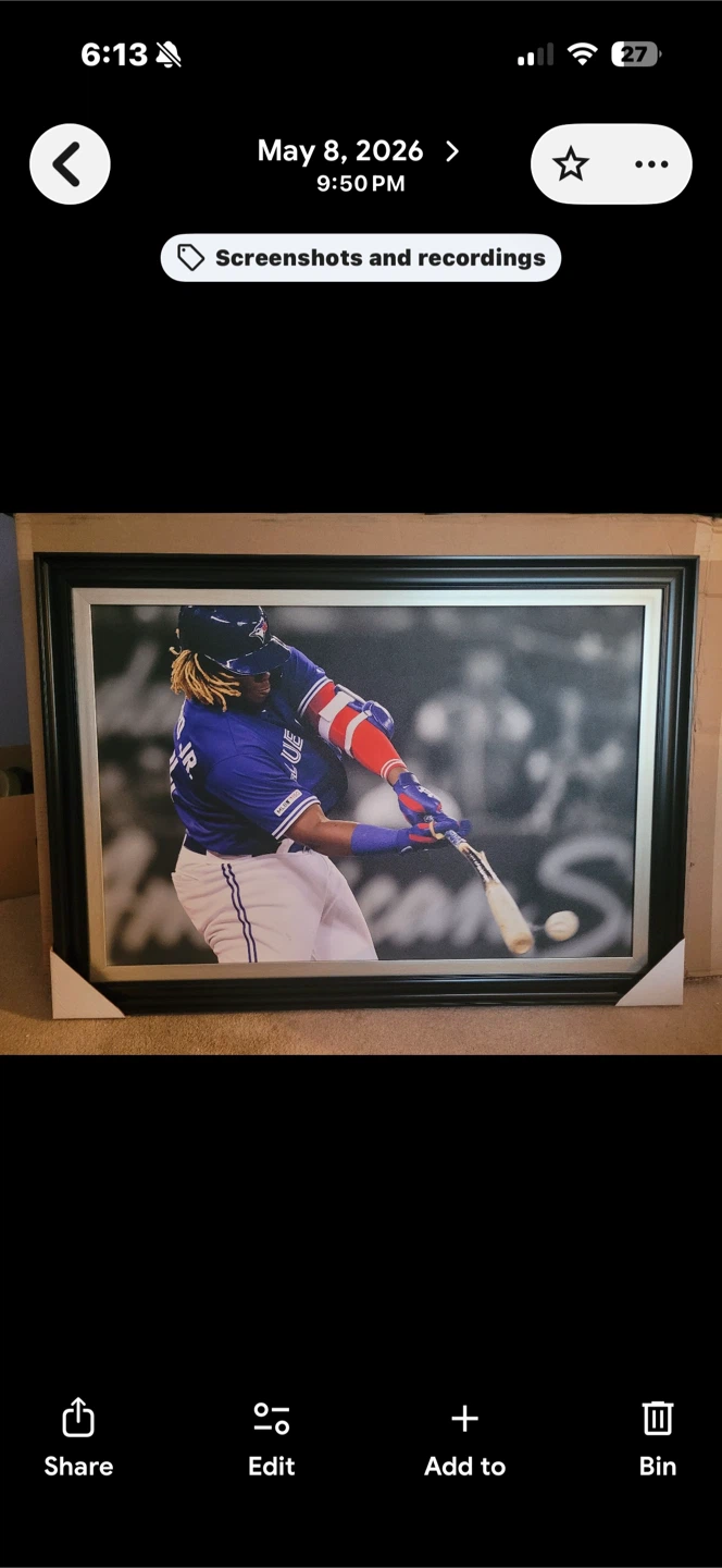 Vladimir Guerrero Jr. Framed Baseball Photo