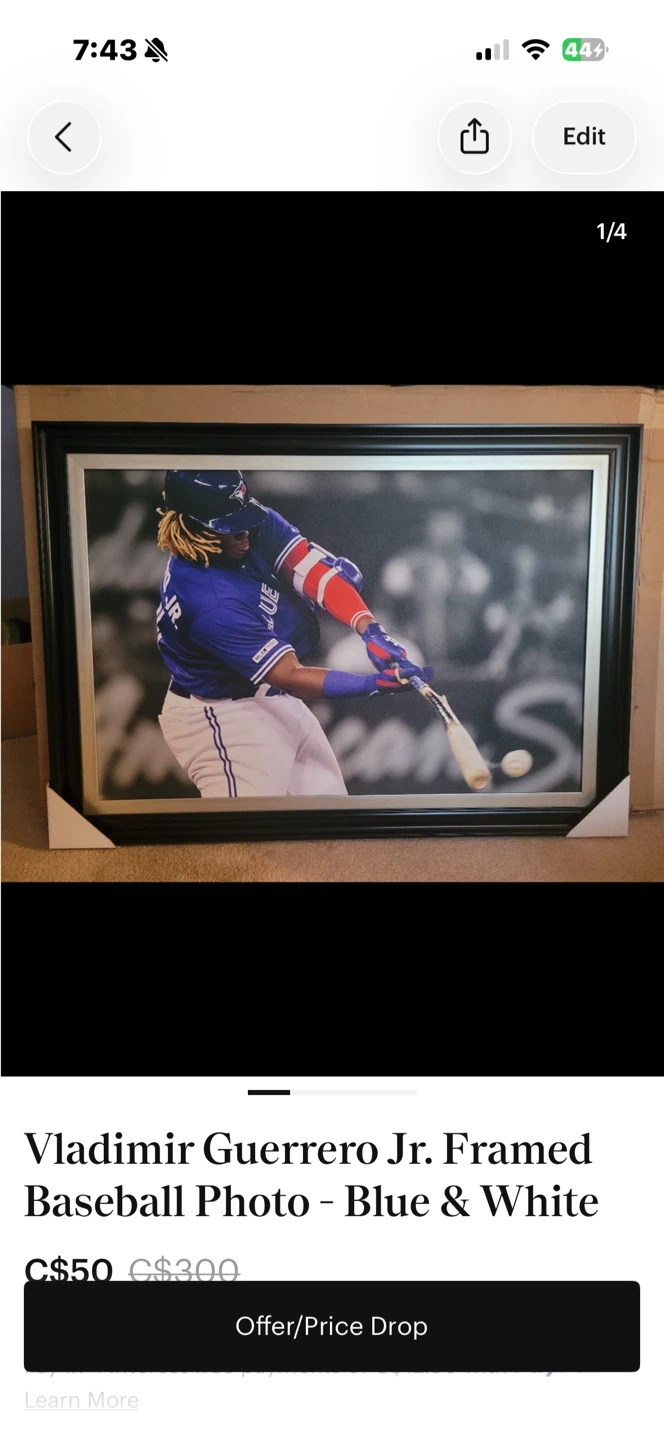 Vladimir Guerrero Jr. Framed Baseball Photo - photo 2