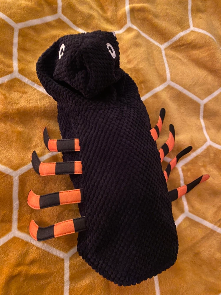 Spider Pet Costume - photo 2