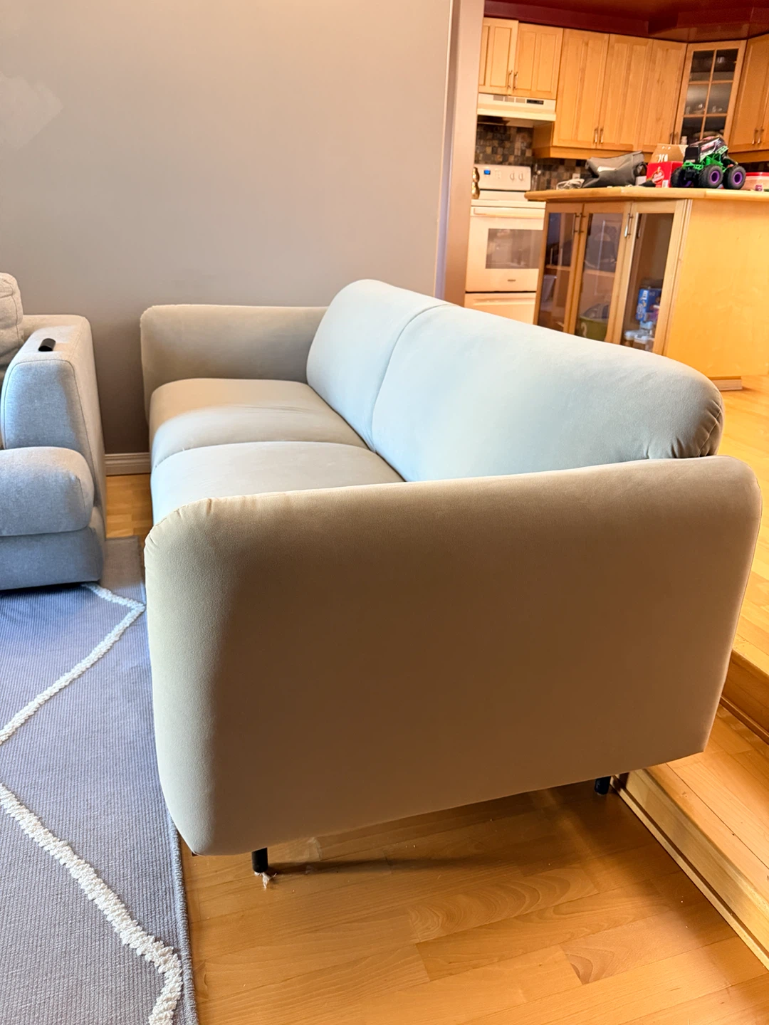 2 Light Grey Fabric Sofa