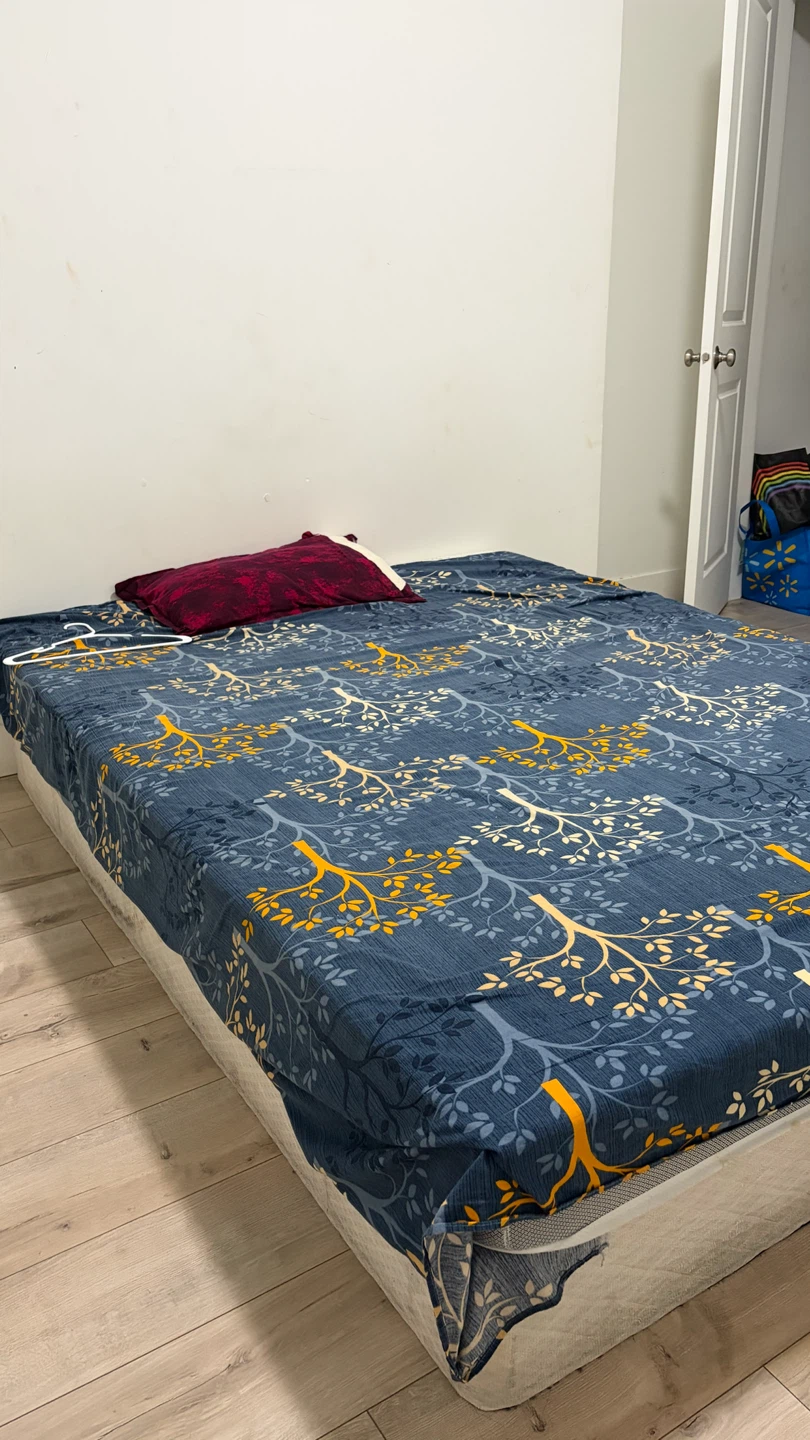 queen Size Mattress and Box Spring