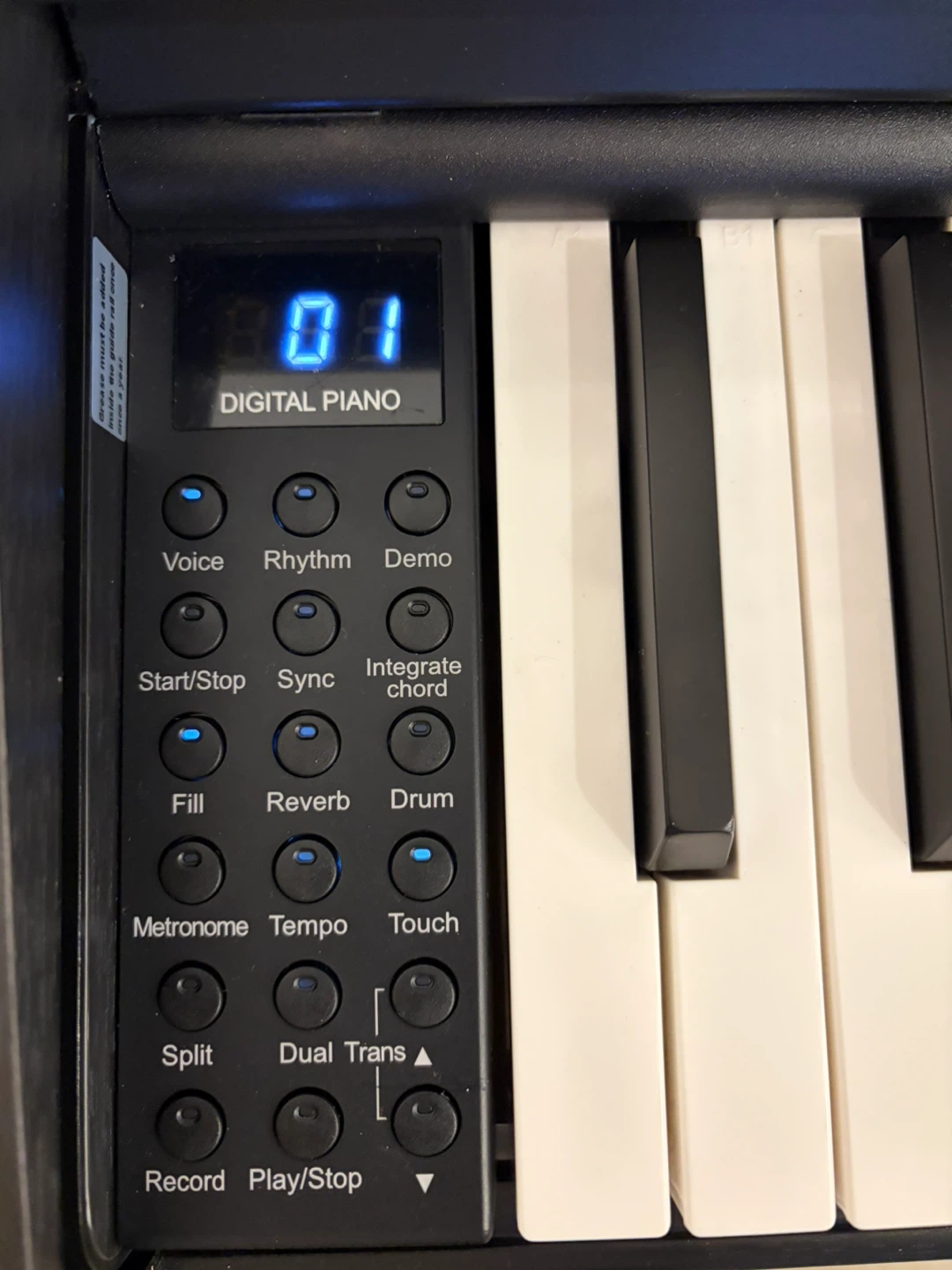 Donner DDP-100S Digital Piano – Great Price! - photo 3