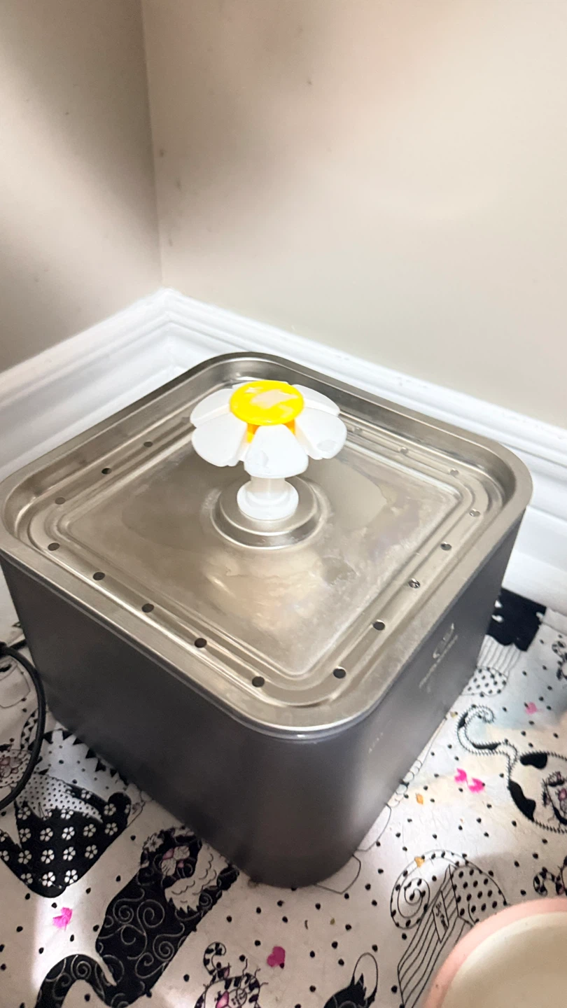 Cat Water Fountain