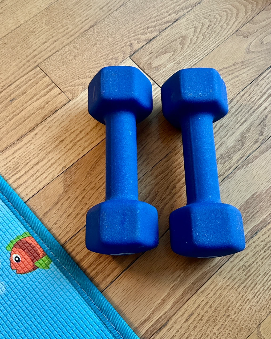 8lb Blue Neoprene Dumbbell Set
