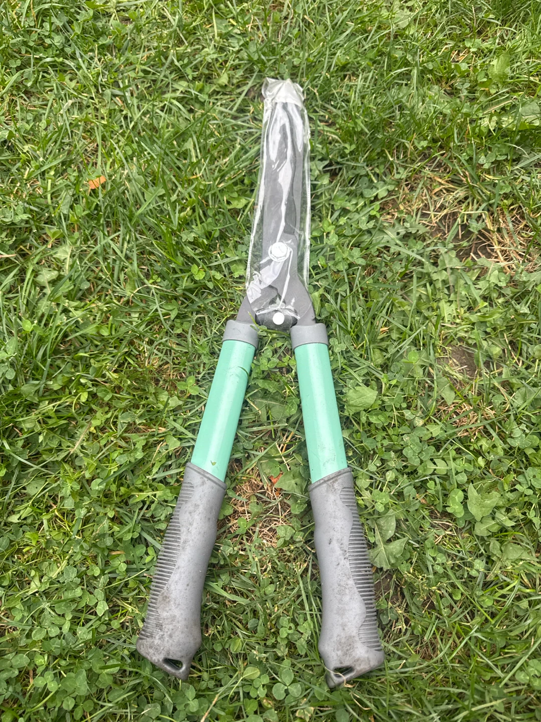 Hedge Shears
