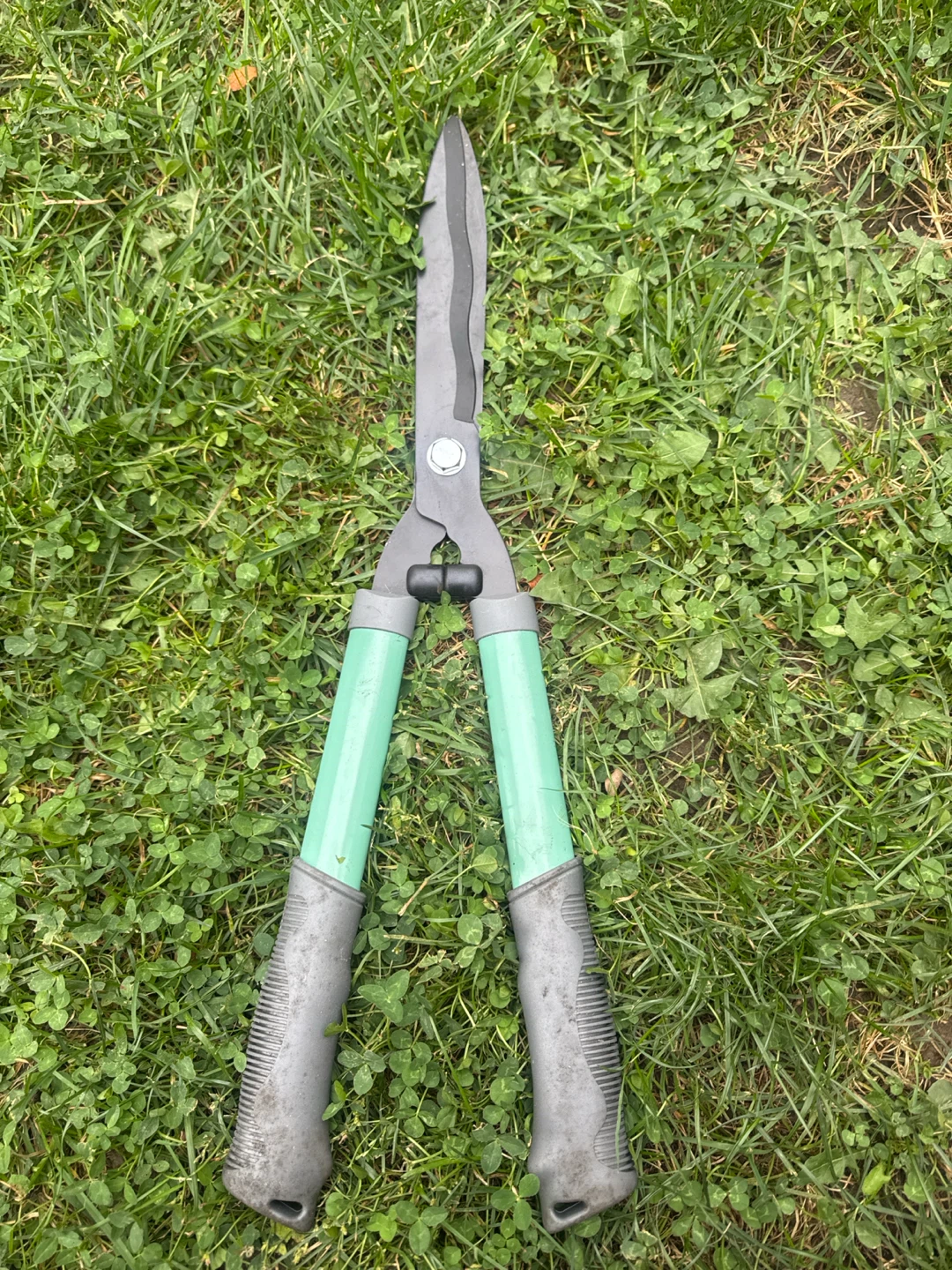 Hedge Shears - photo 2