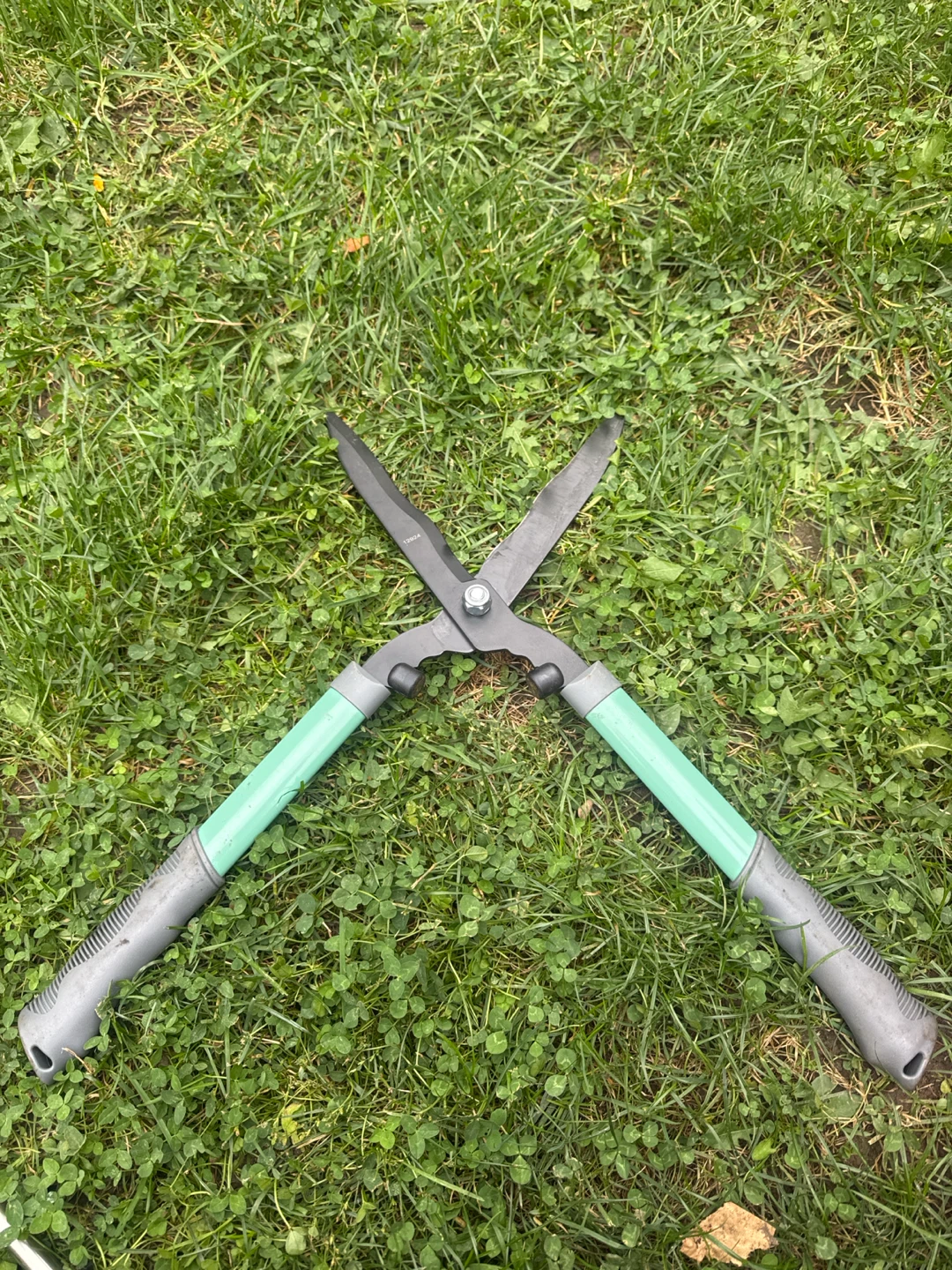Hedge Shears - photo 3