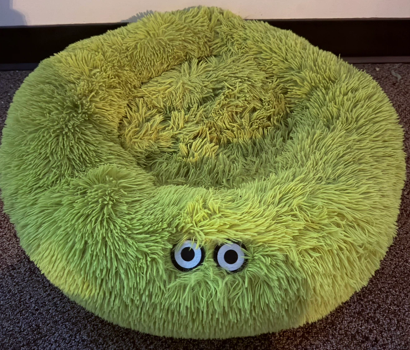Never Used • Large PET BED