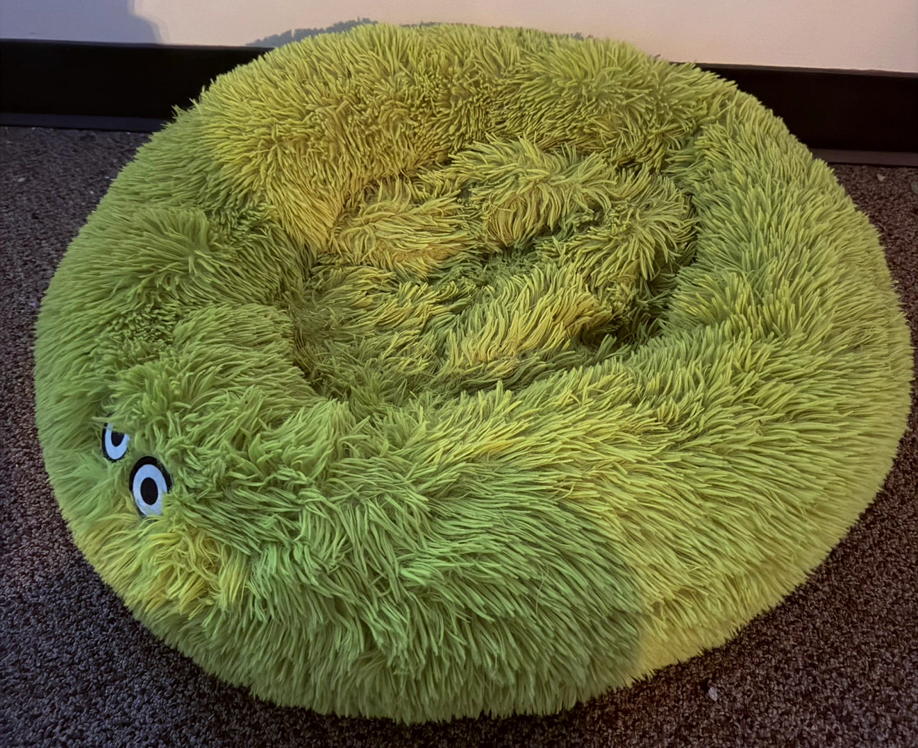 Never Used • Large PET BED - photo 2