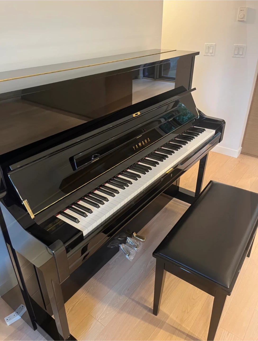 2017 Yamaha U1