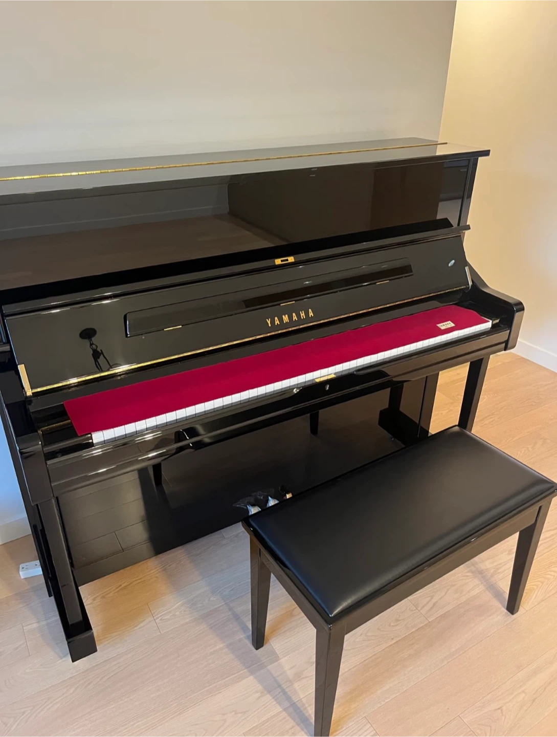 2017 Yamaha U1 - photo 3