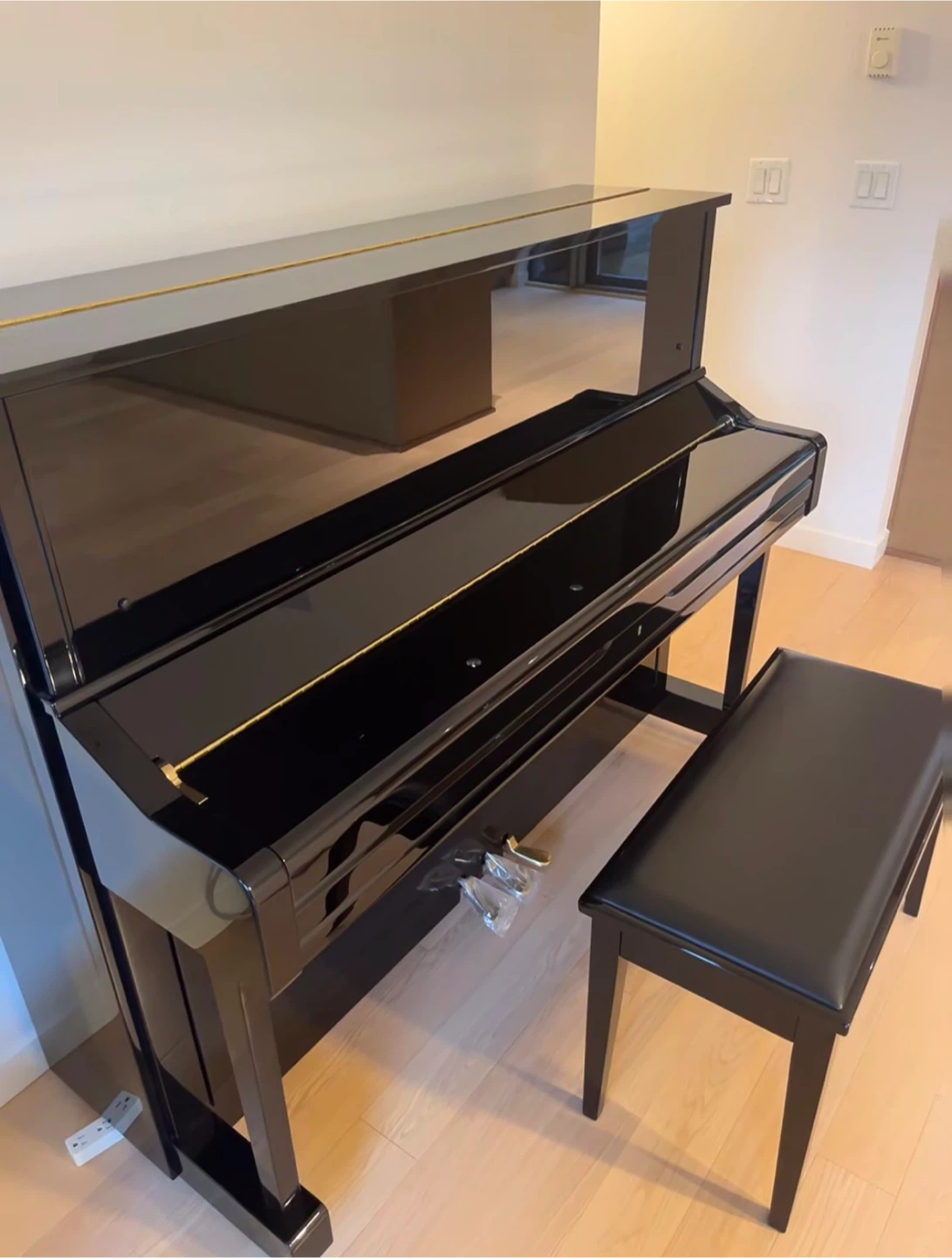 2017 Yamaha U1 - photo 4