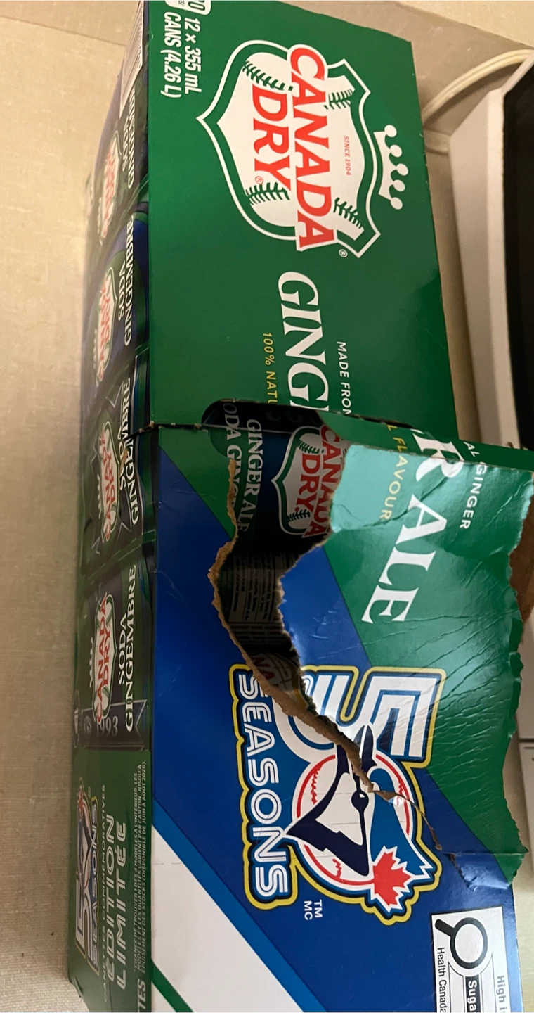 Canada Dry Ginger Ale 8 cans - photo 2
