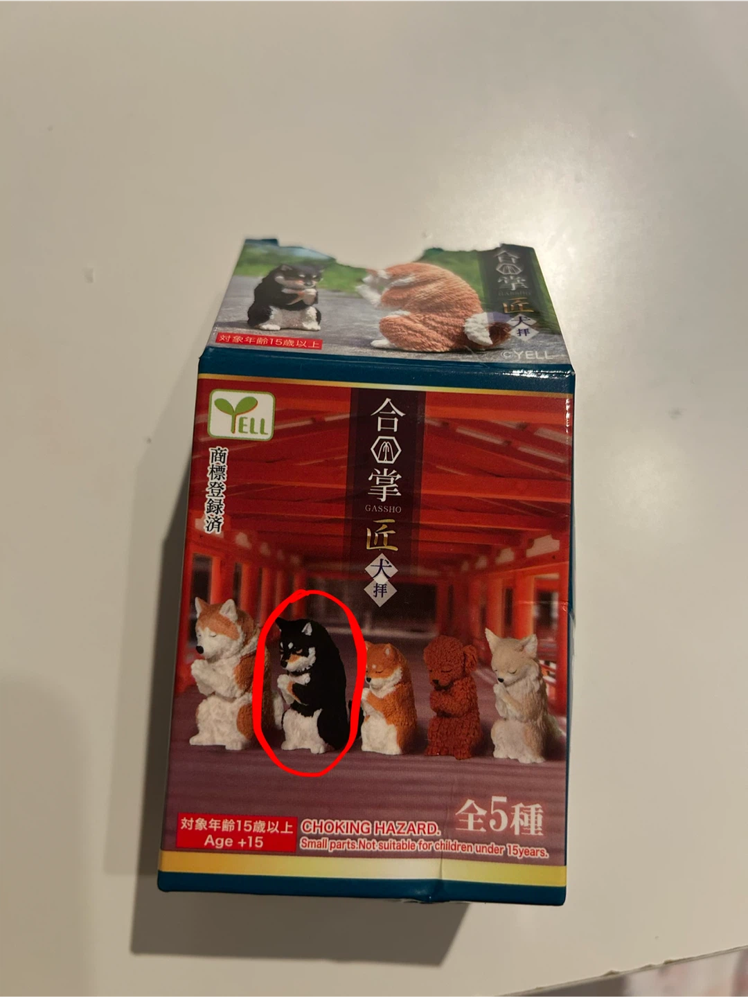 Shiba, Pomeranian, Chihuahua figures/keychain/gacha