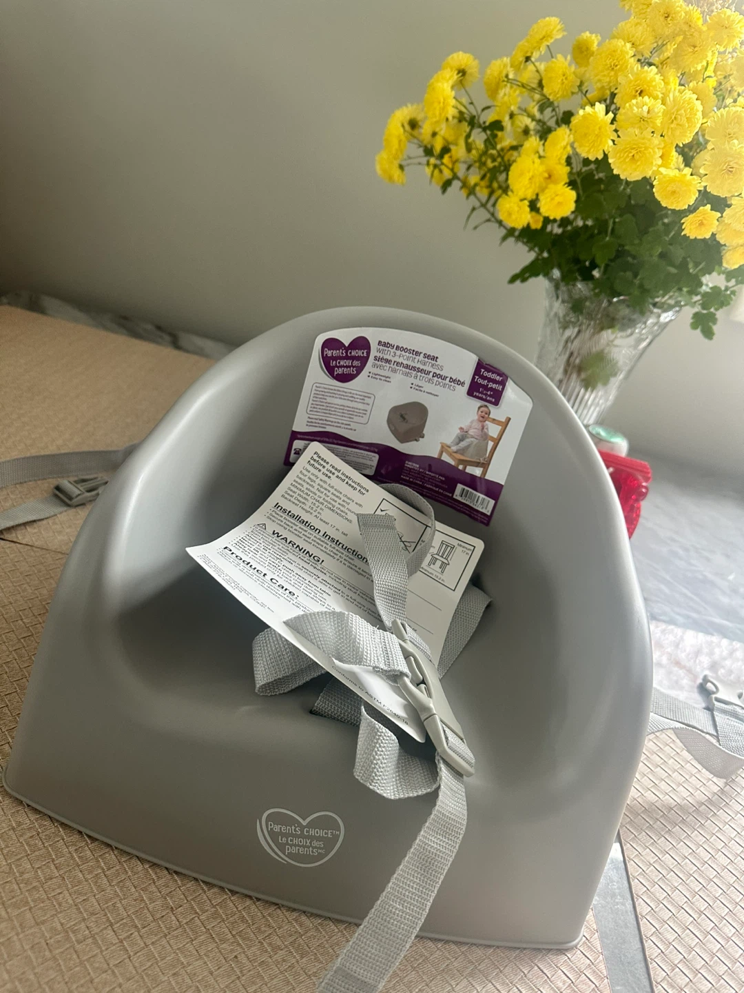 Brand New Parent's Choice Baby Booster Seat – Gray - photo 2