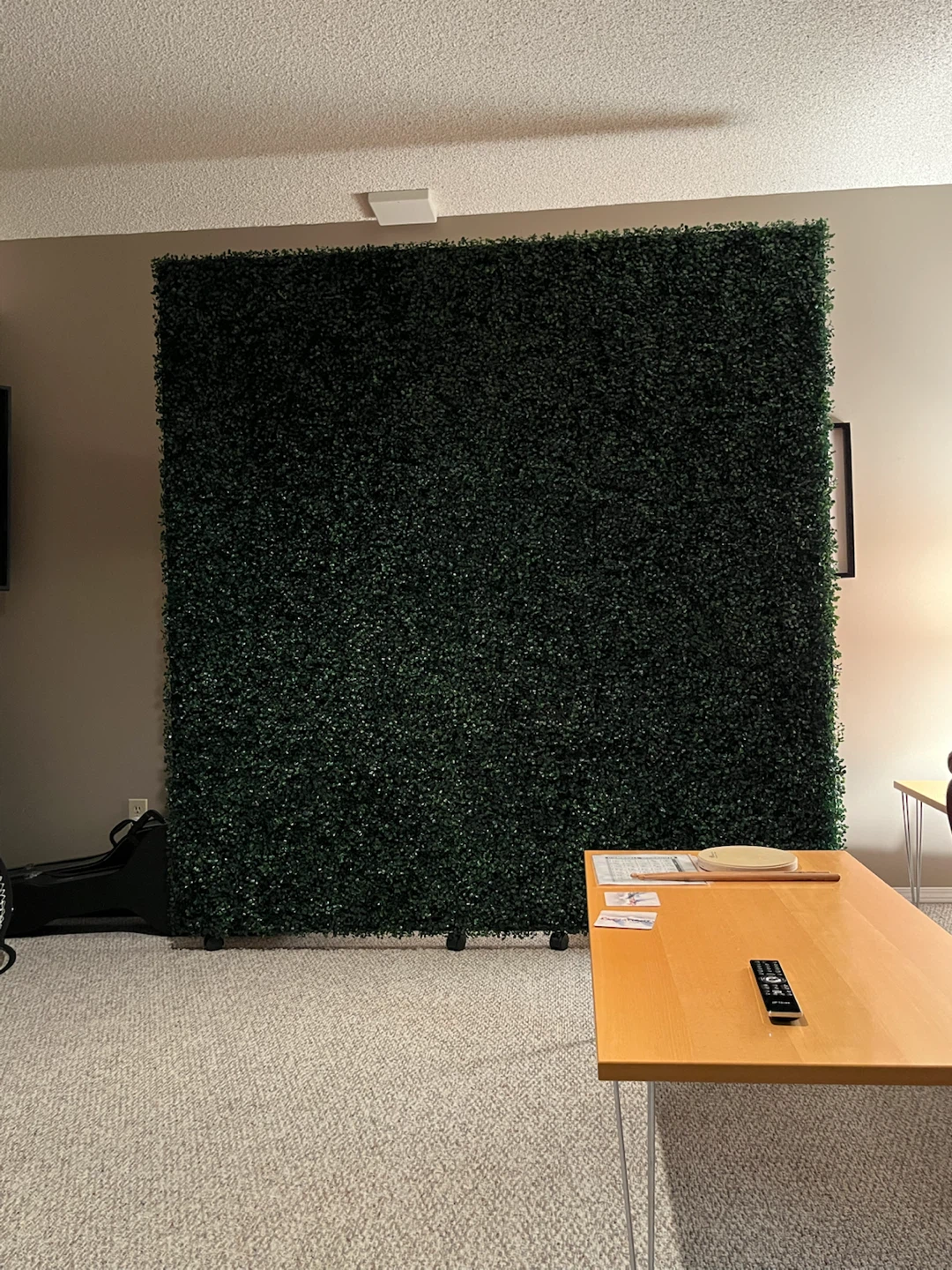Faux plant wall - photo 4