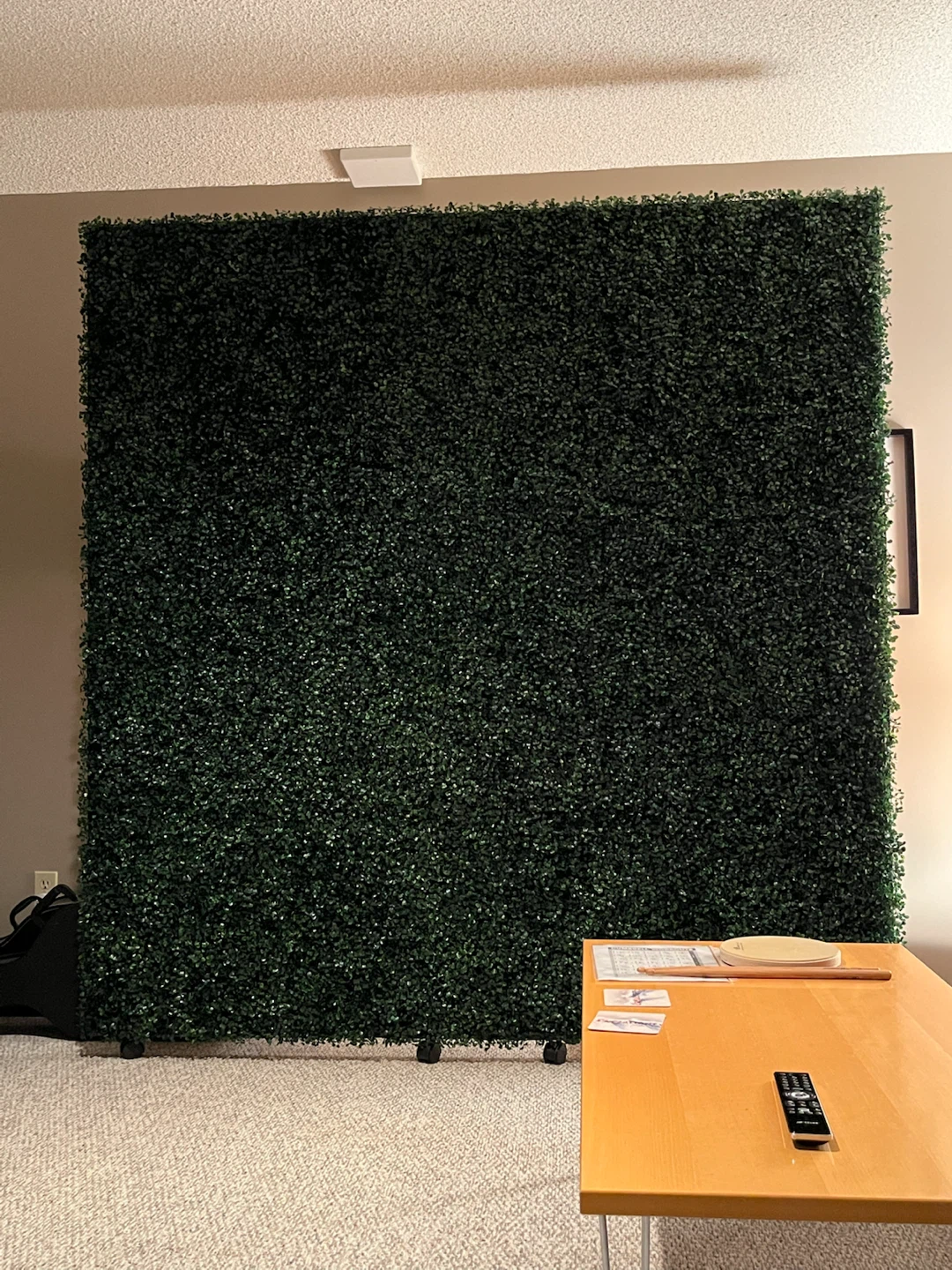 Faux plant wall - photo 5