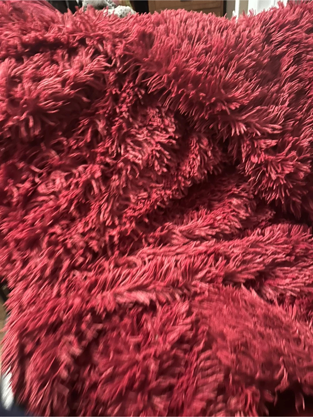 Shaggy duvet cover and comforter