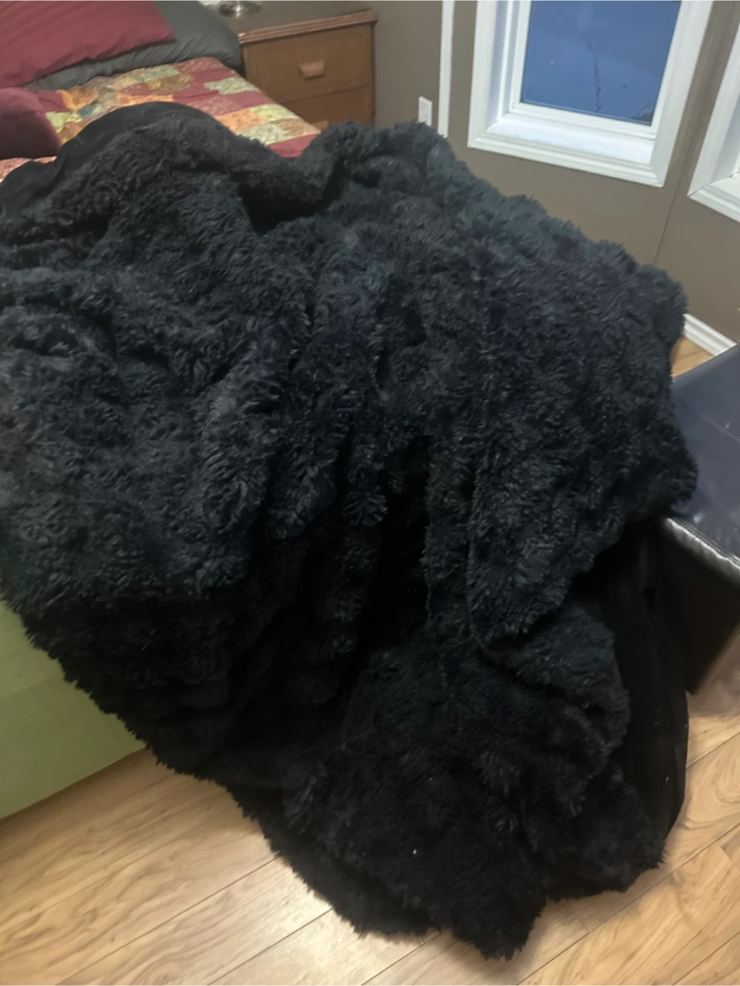 Black Plush Throw Blanket