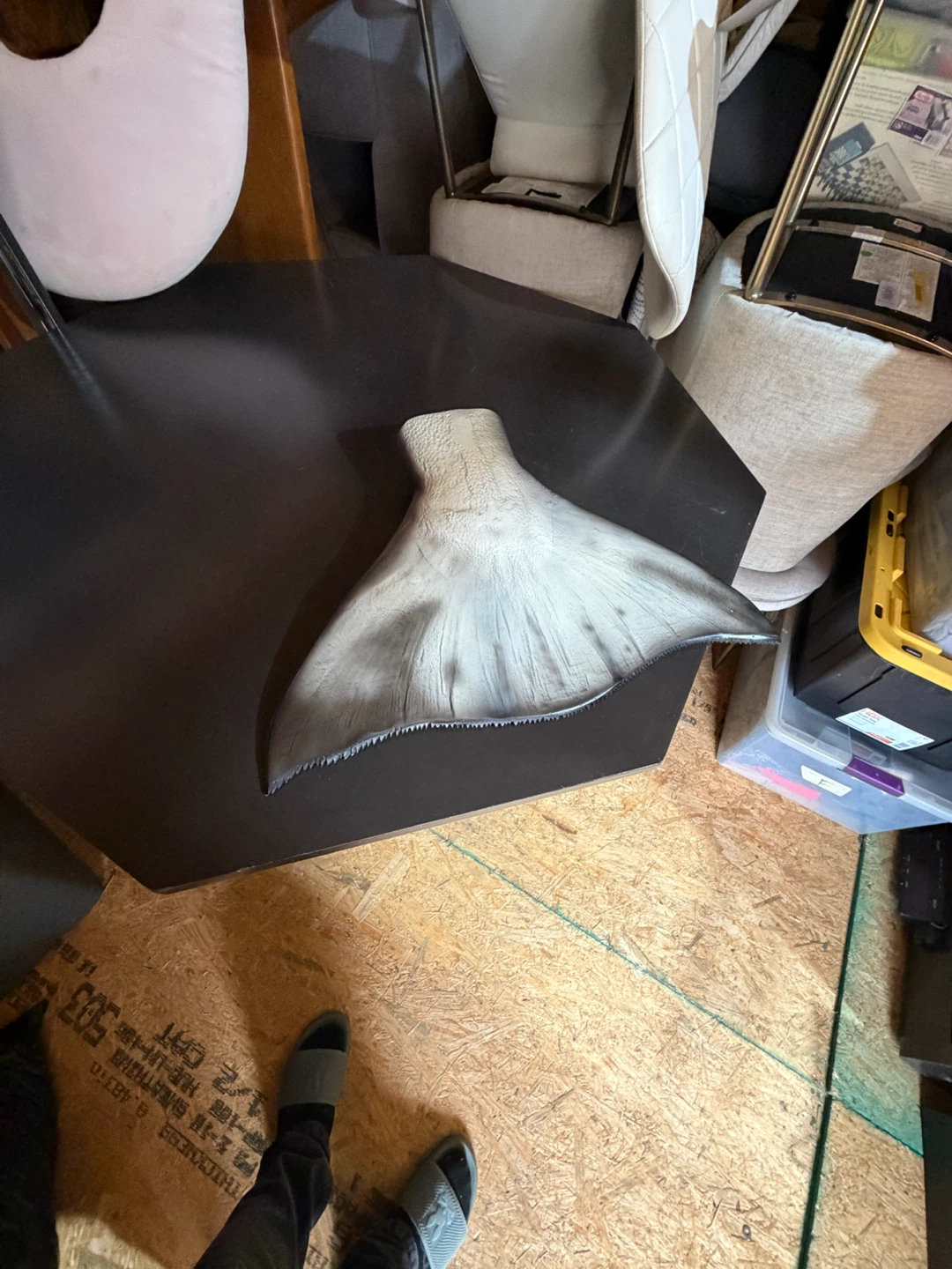 Decorative Wall-Mount Shark Tail