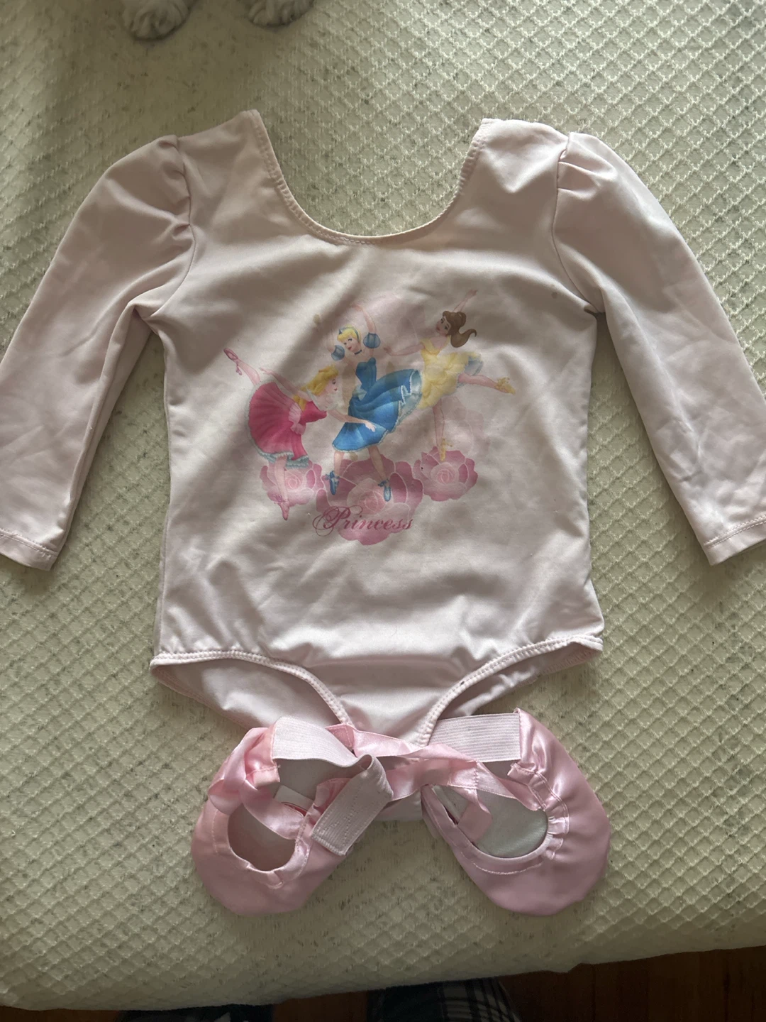 Disney Princess Long Sleeve Leotard