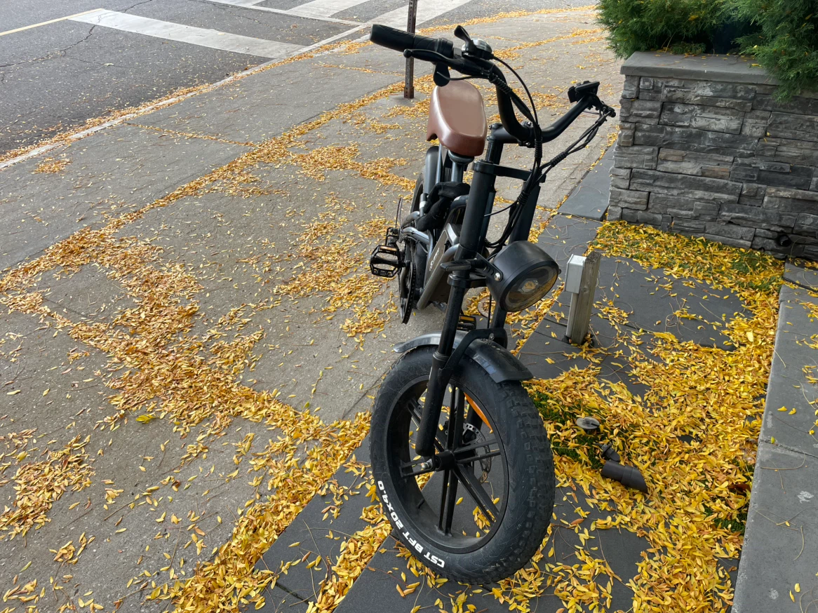 Electric bike with fat tires (no pedaling needed) - photo 2