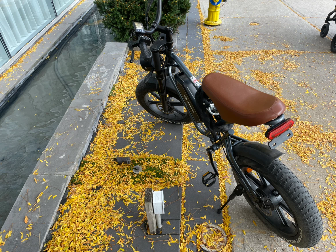 Electric bike with fat tires (no pedaling needed) - photo 3