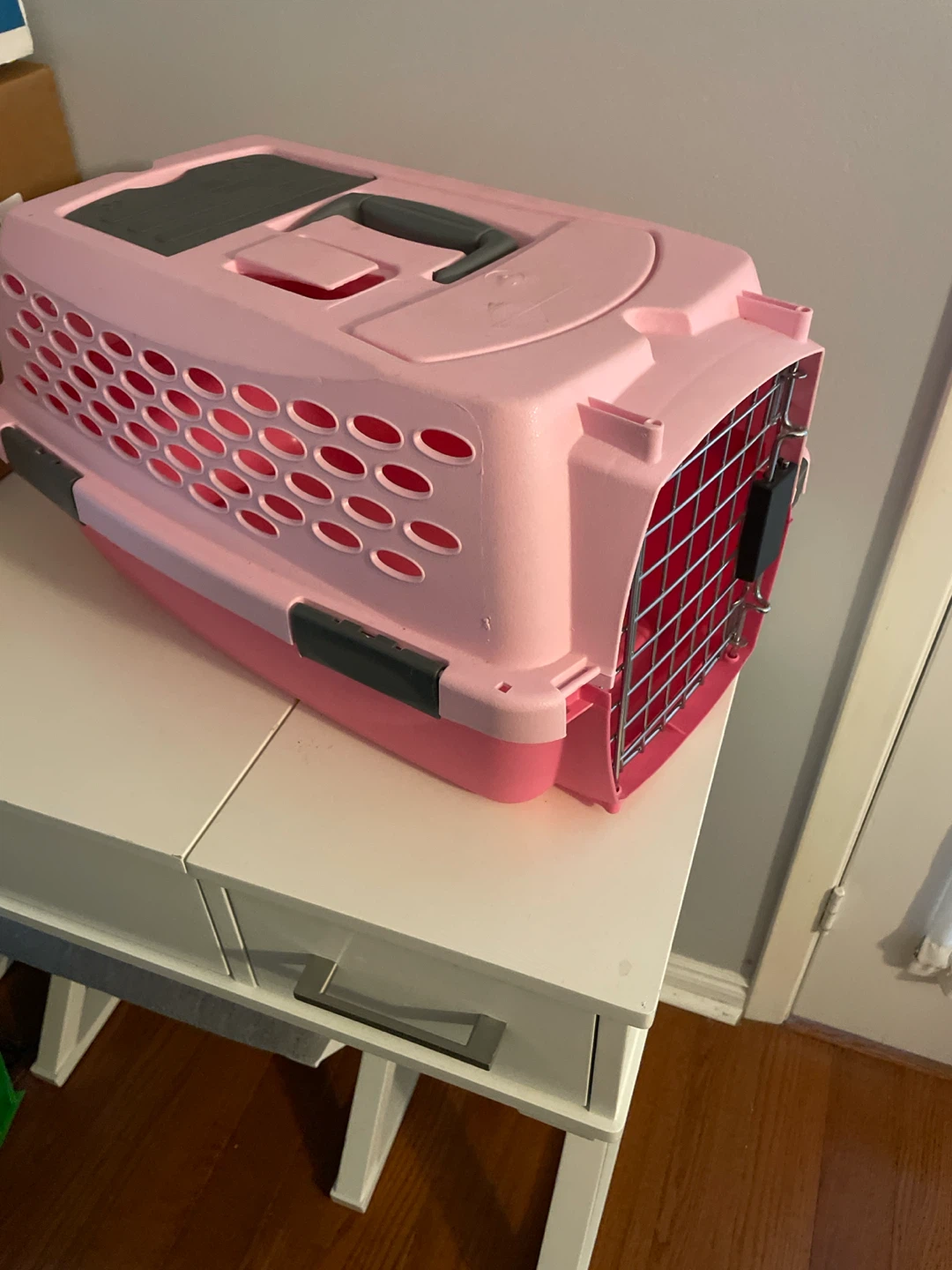 Pet carrier