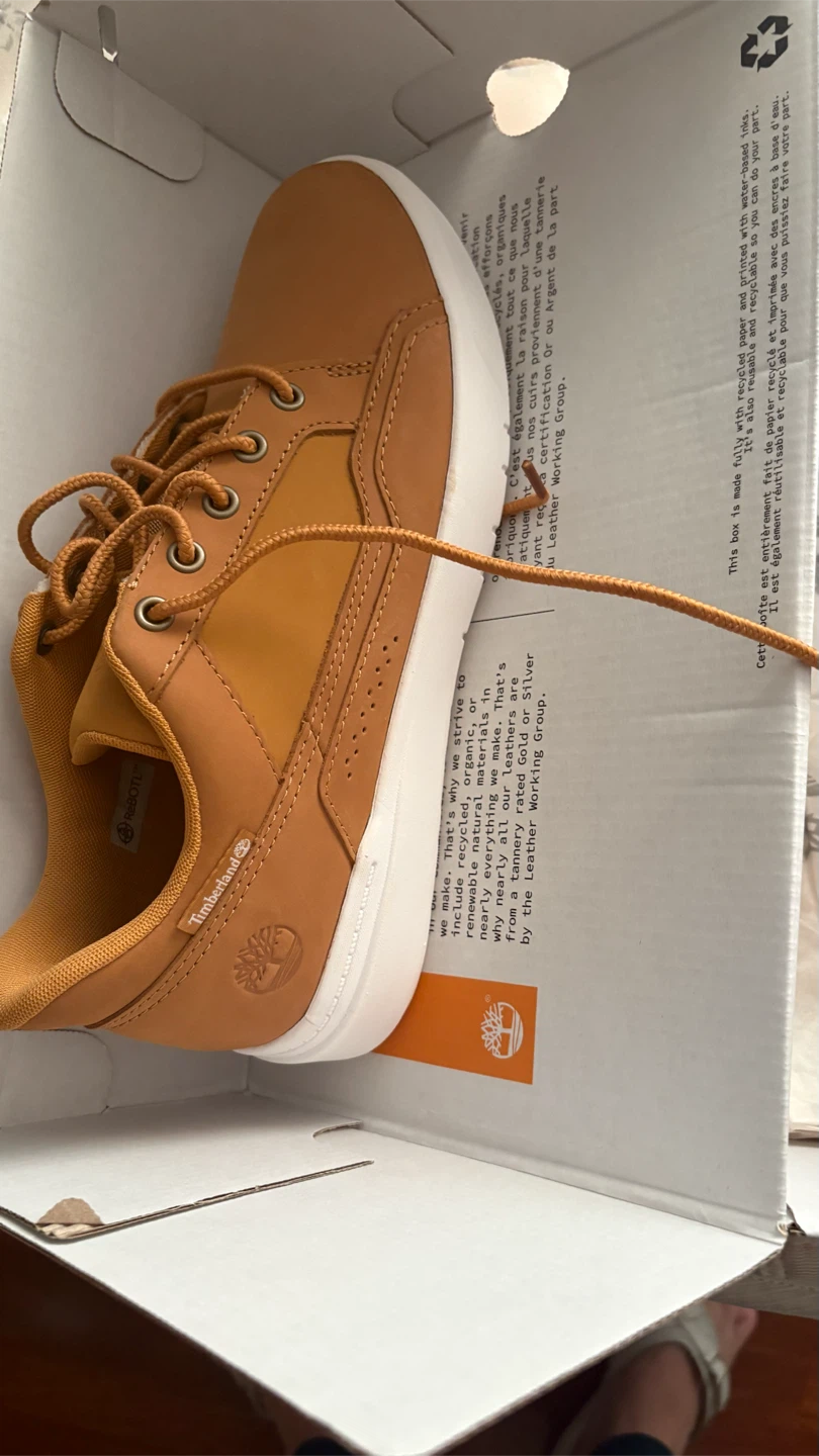 Timberland Allston Low Lace Sneakers New
