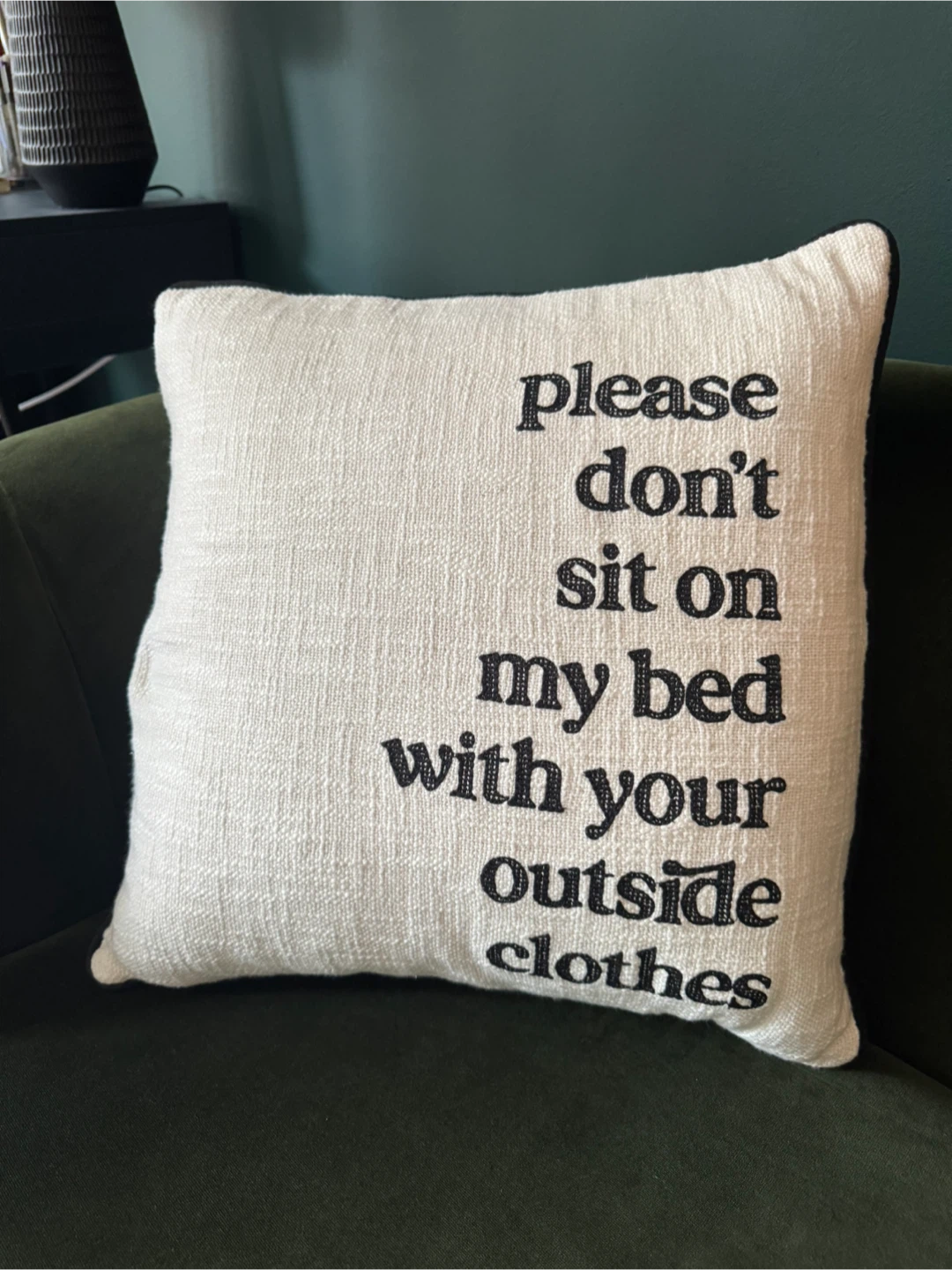 Throw Pillow