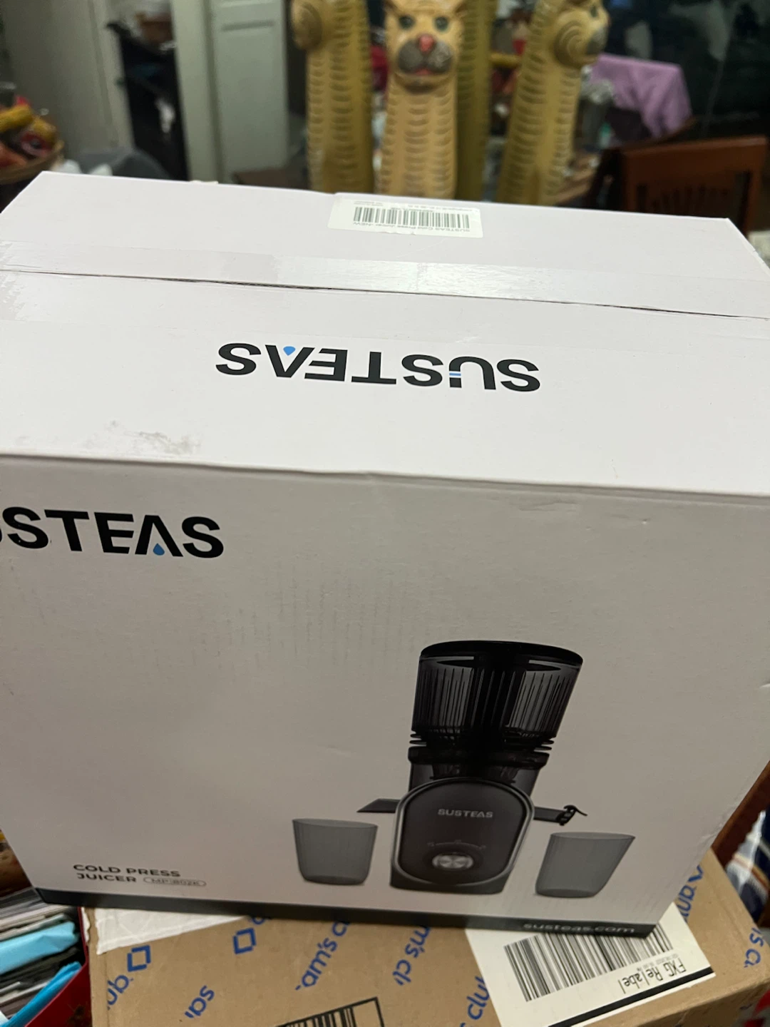 SUSTEAS Cold Press Juicer MP-802K - photo 4