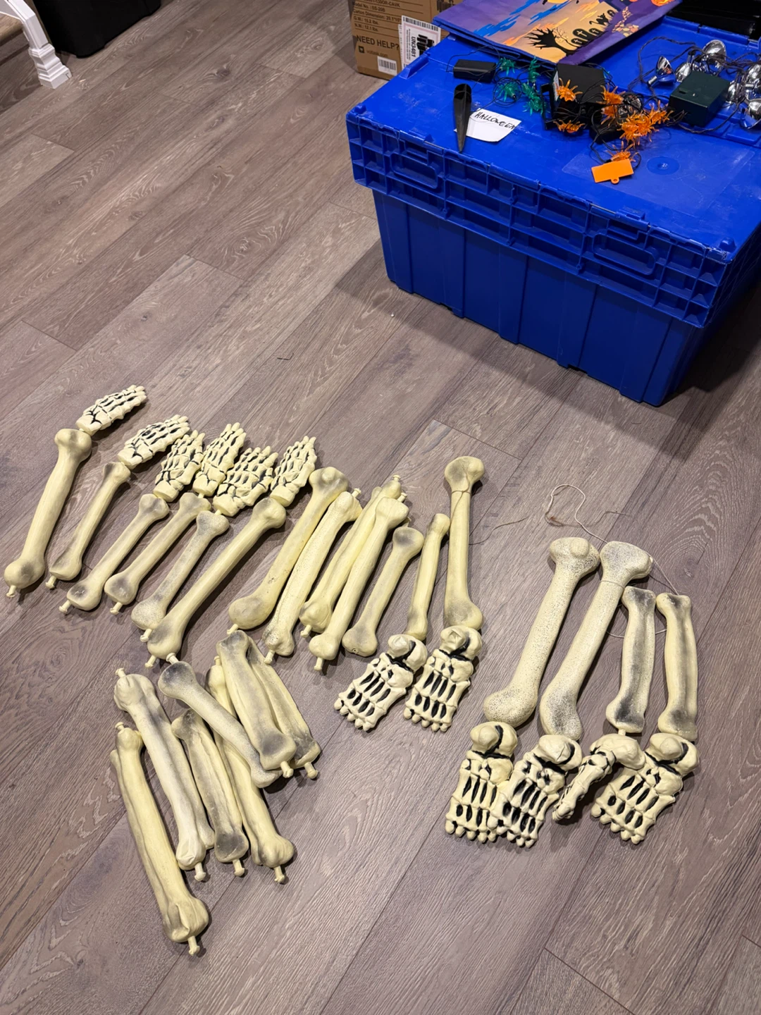 Bag of Halloween bones for grave yard display