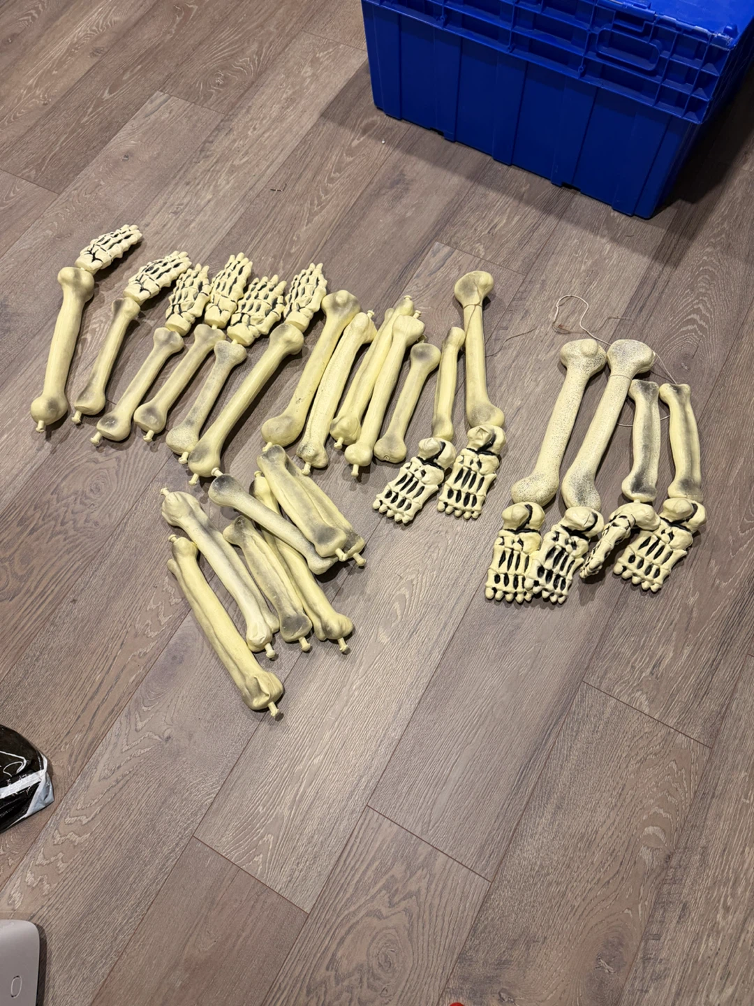 Bag of Halloween bones for grave yard display - photo 2