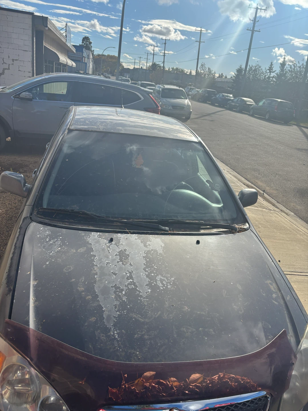 Toyota Corolla S Sedan - photo 4