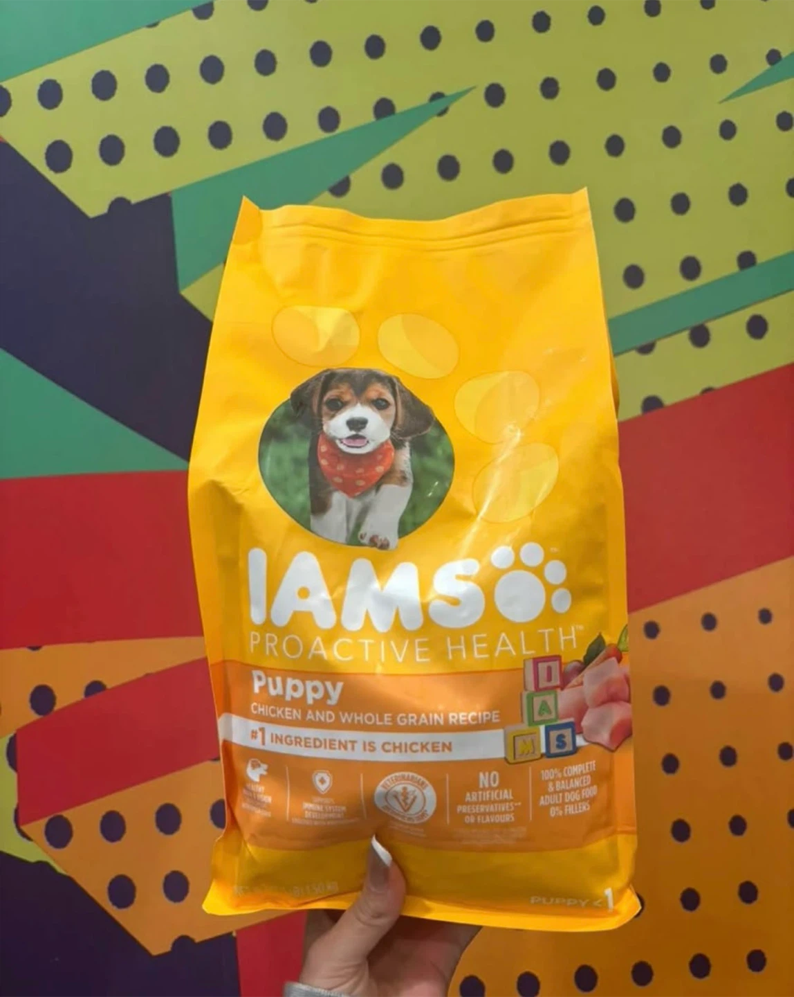 Brand new iams  Proactive Health Puppy Chicken