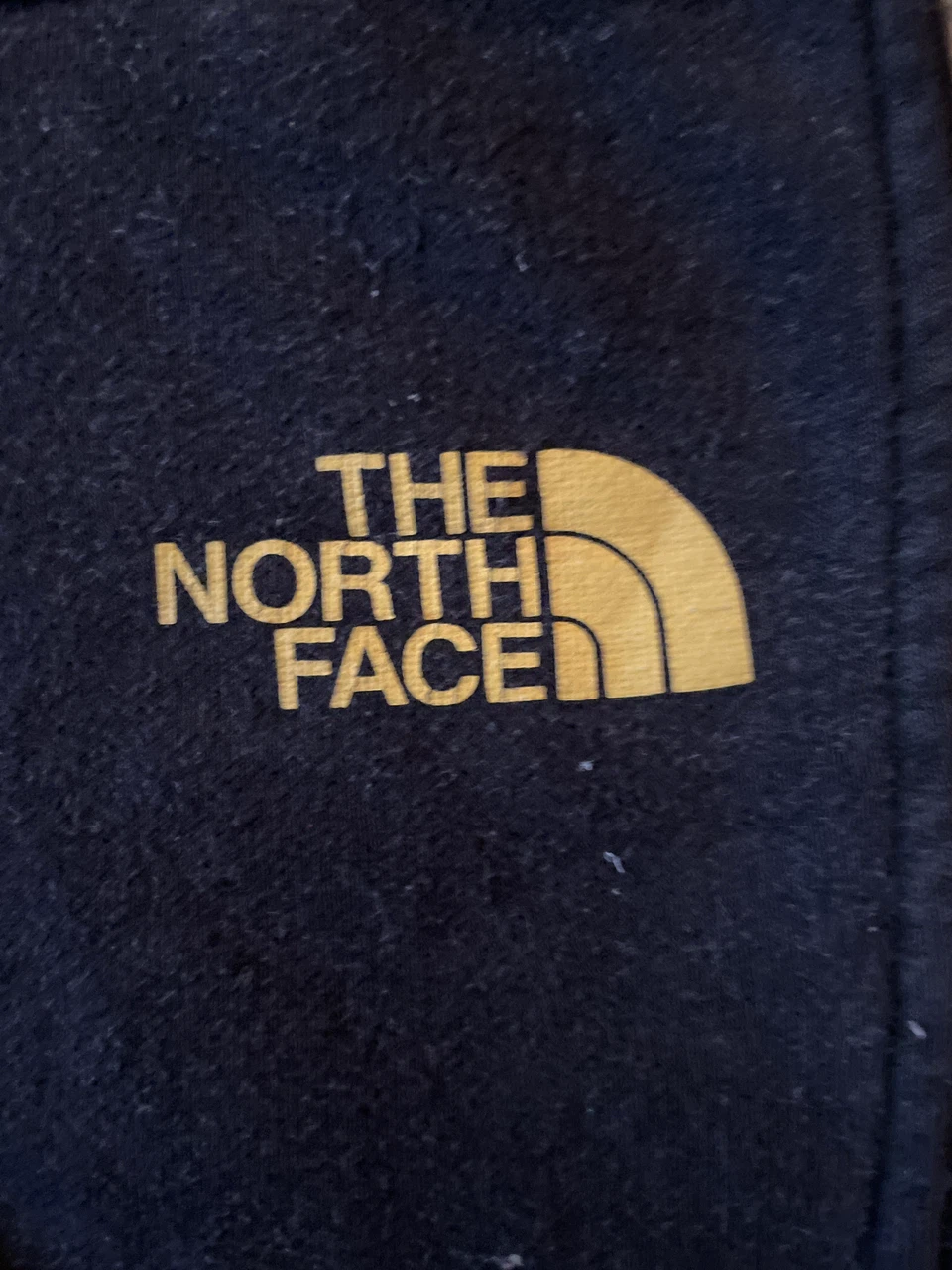 Title: The North Face Year of the Tiger Joggers – Black - photo 3