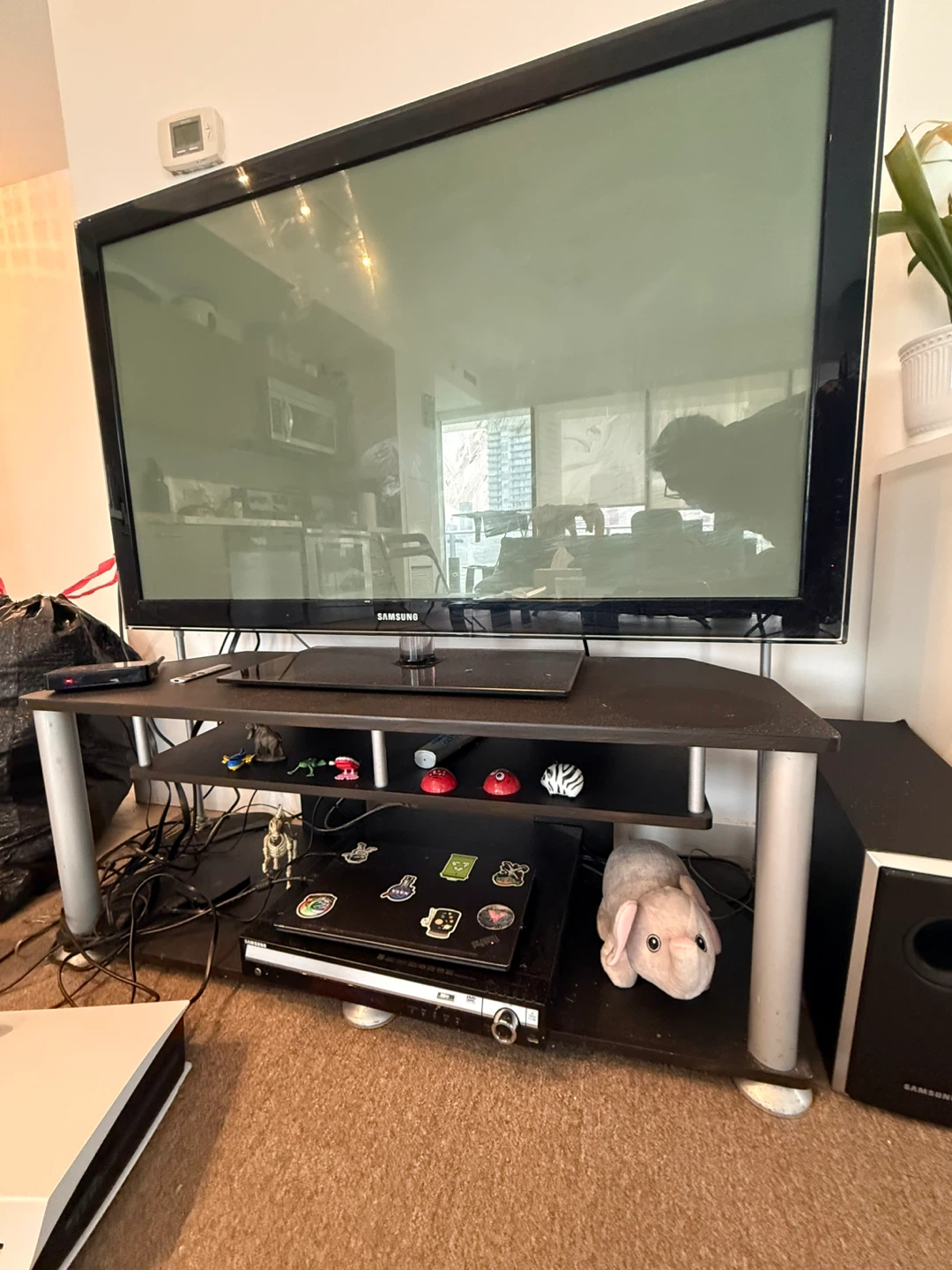 50 inch plasma Samsung Television with table and rug