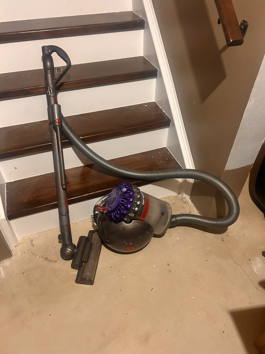 Dyson Big Ball Animal Canister Vacuum