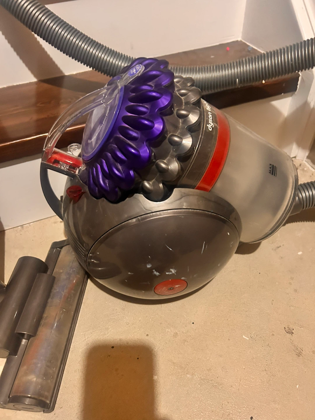 Dyson Big Ball Animal Canister Vacuum - photo 2