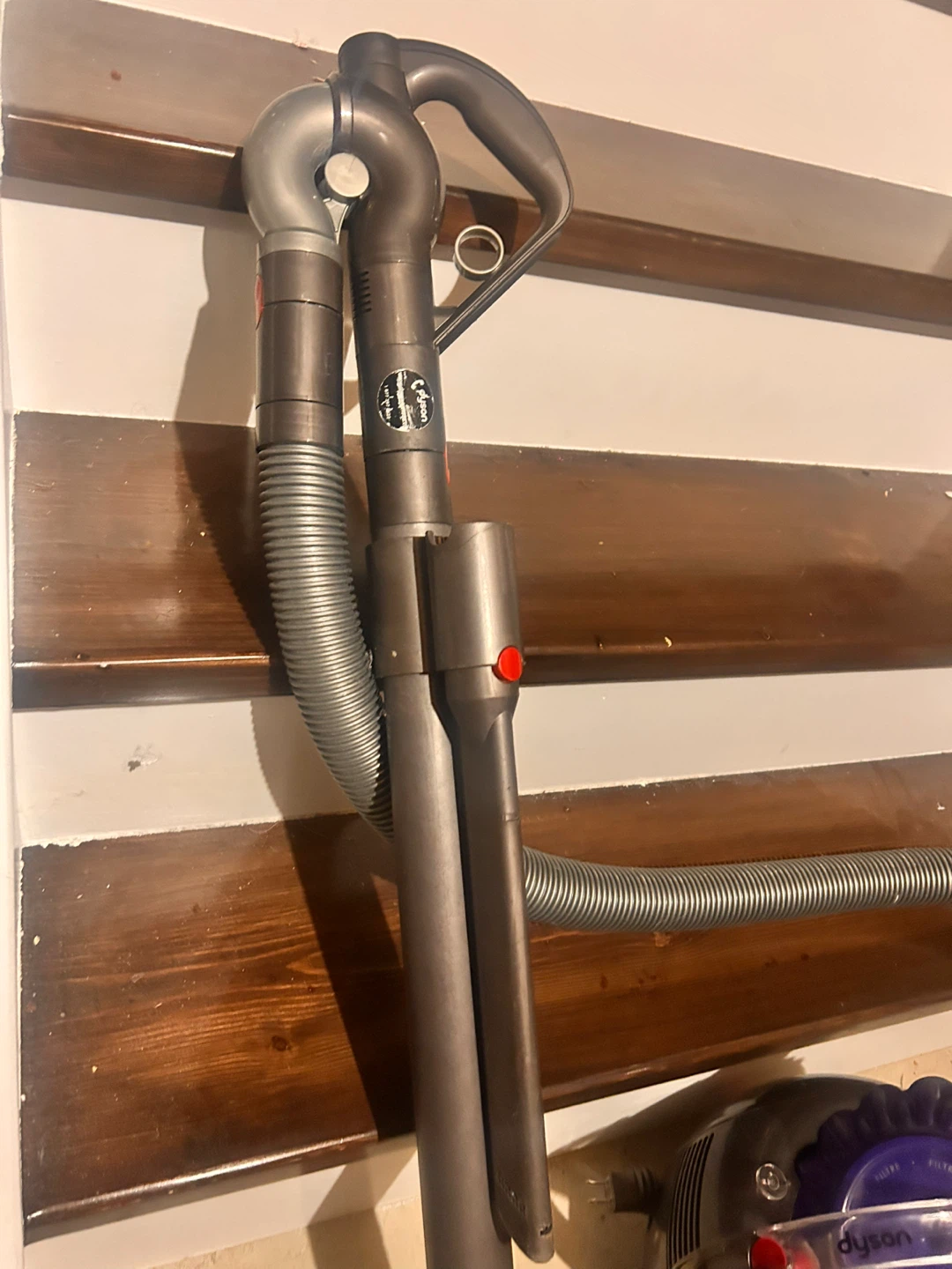 Dyson Big Ball Animal Canister Vacuum - photo 3