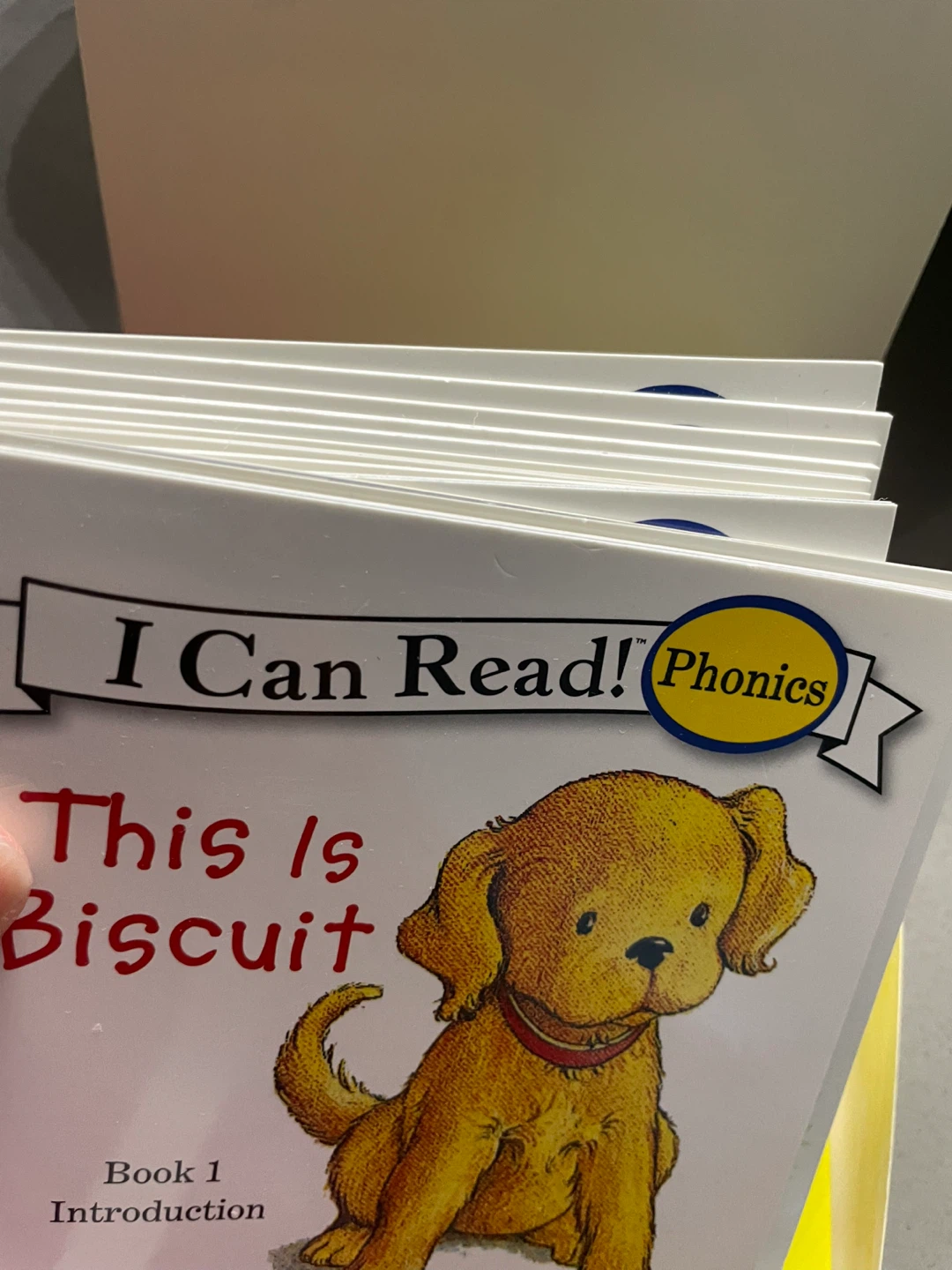 I Can Read! Biscuit Phonics Fun 12 Book Set - photo 3