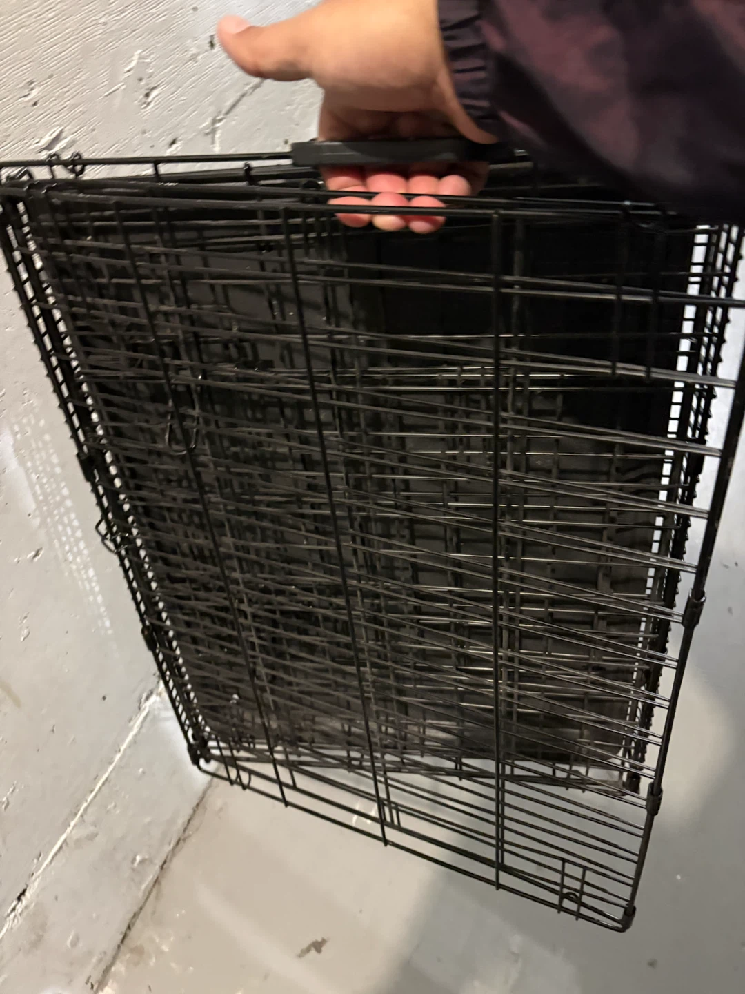 Essentials Single Door Wire Pet Crate for small dogs - photo 5