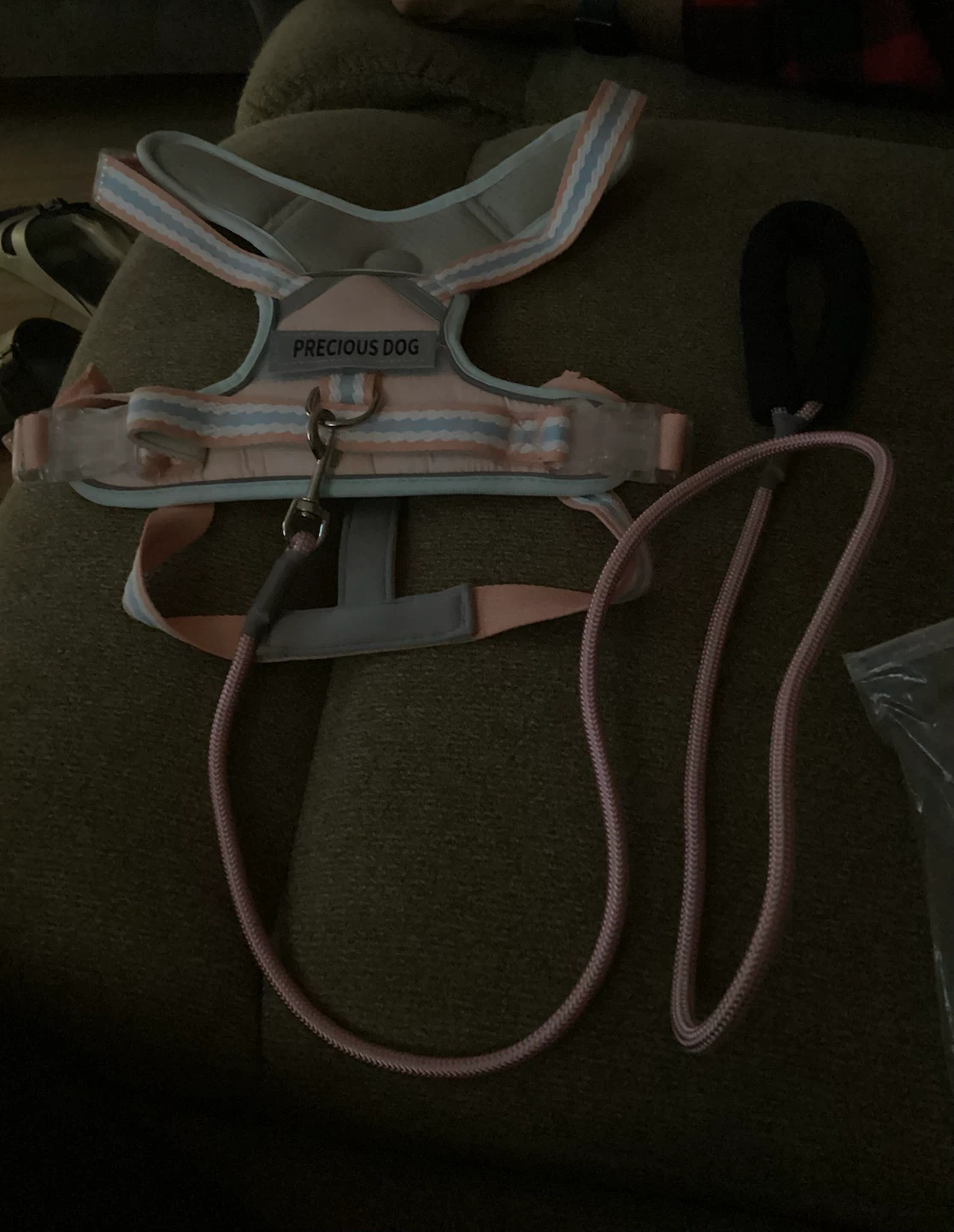 Precious Dog Harness and Leash Set - XL - photo 3