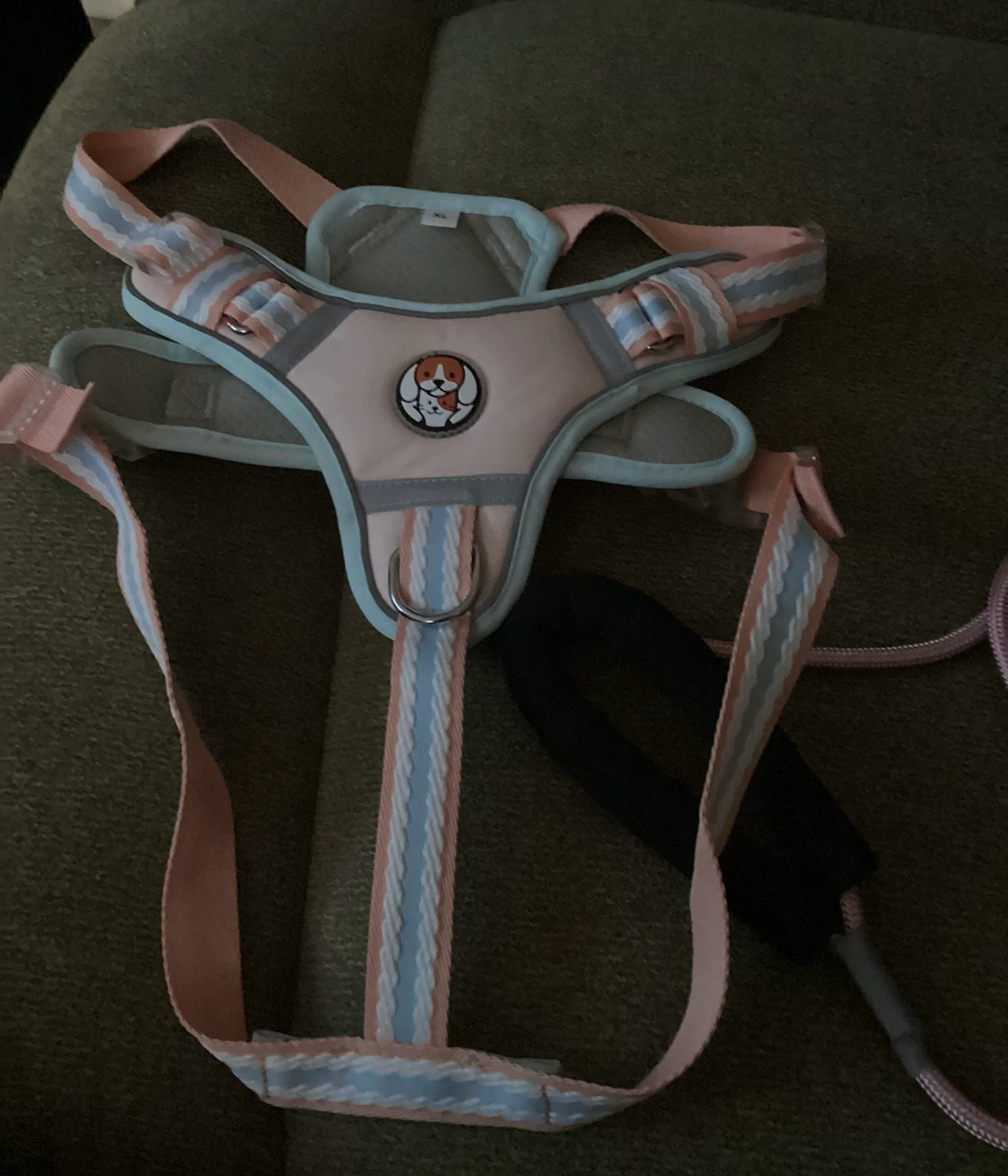 Precious Dog Harness and Leash Set - XL