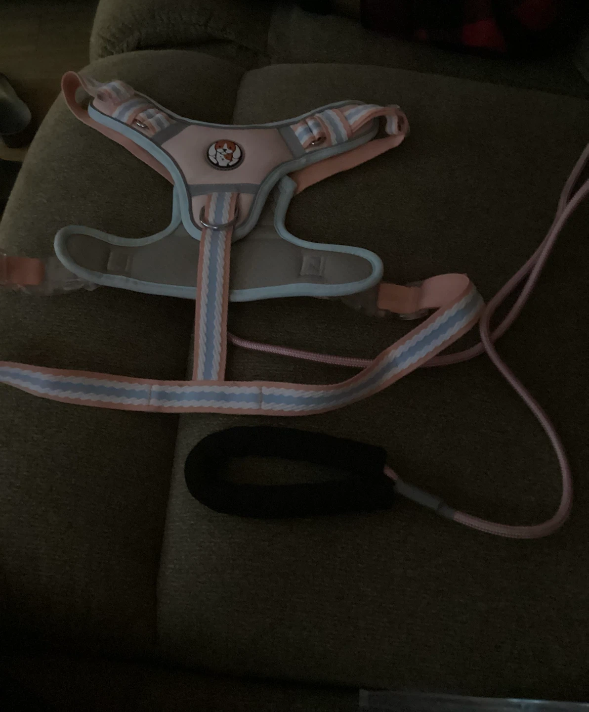Precious Dog Harness and Leash Set - XL - photo 2