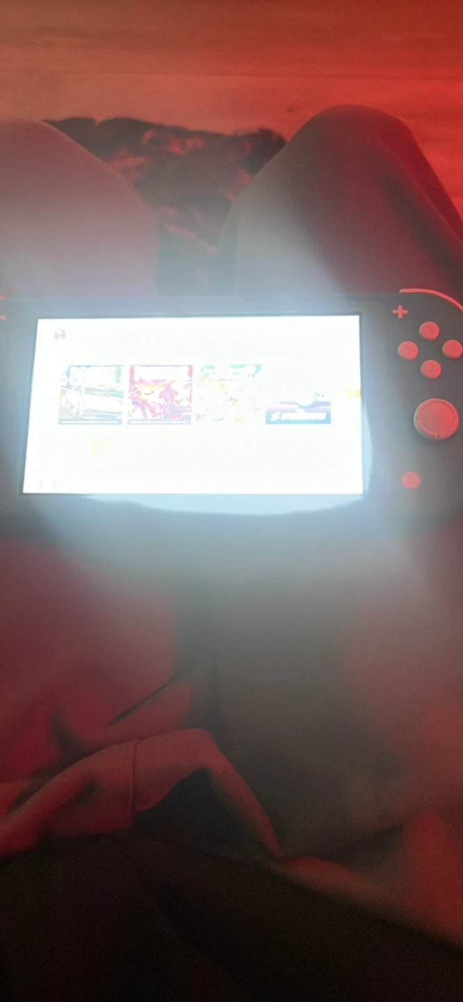 Nintendo Switch Lite Console