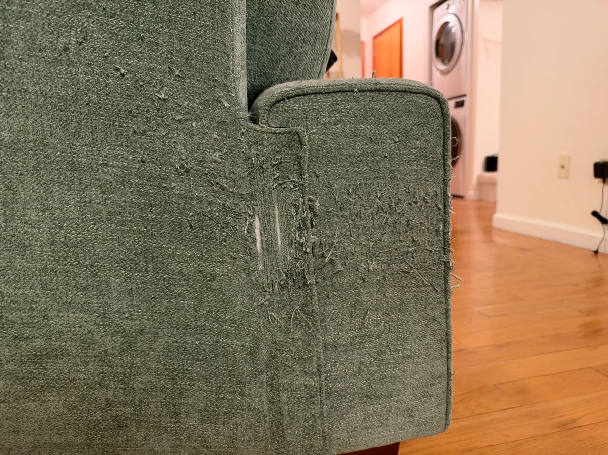 Cute green loveseat😊 - photo 3