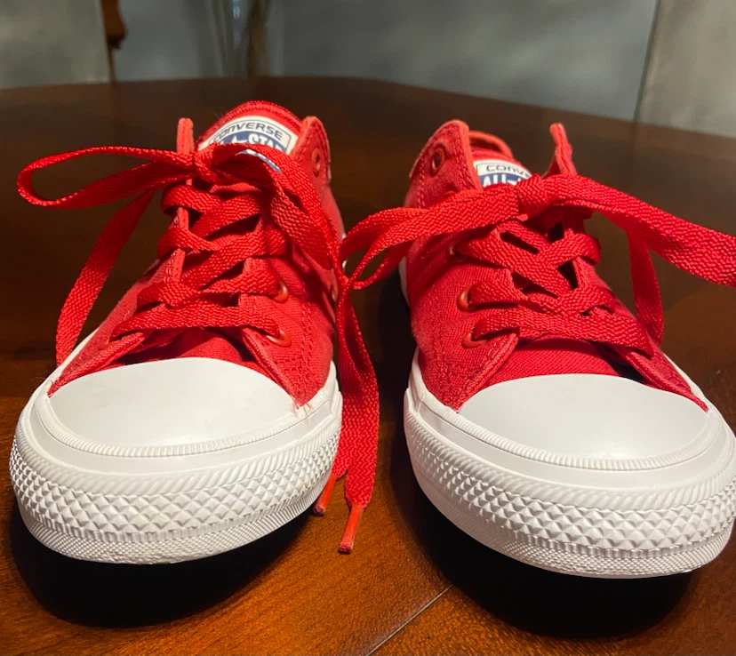 Converse Chuck Taylor All Star Low Top Sneakers Youth US 2 - photo 4