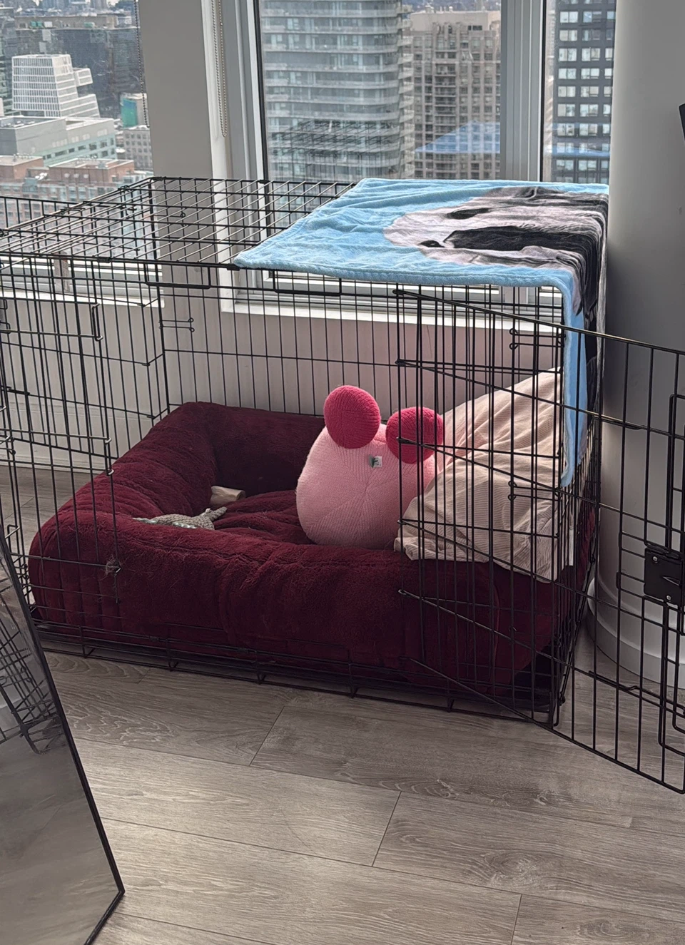 Large dog crate