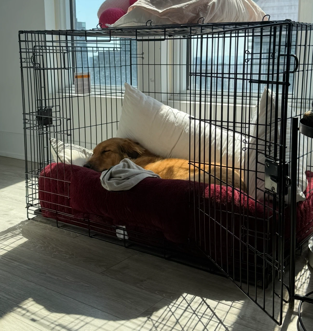 Large dog crate - photo 4